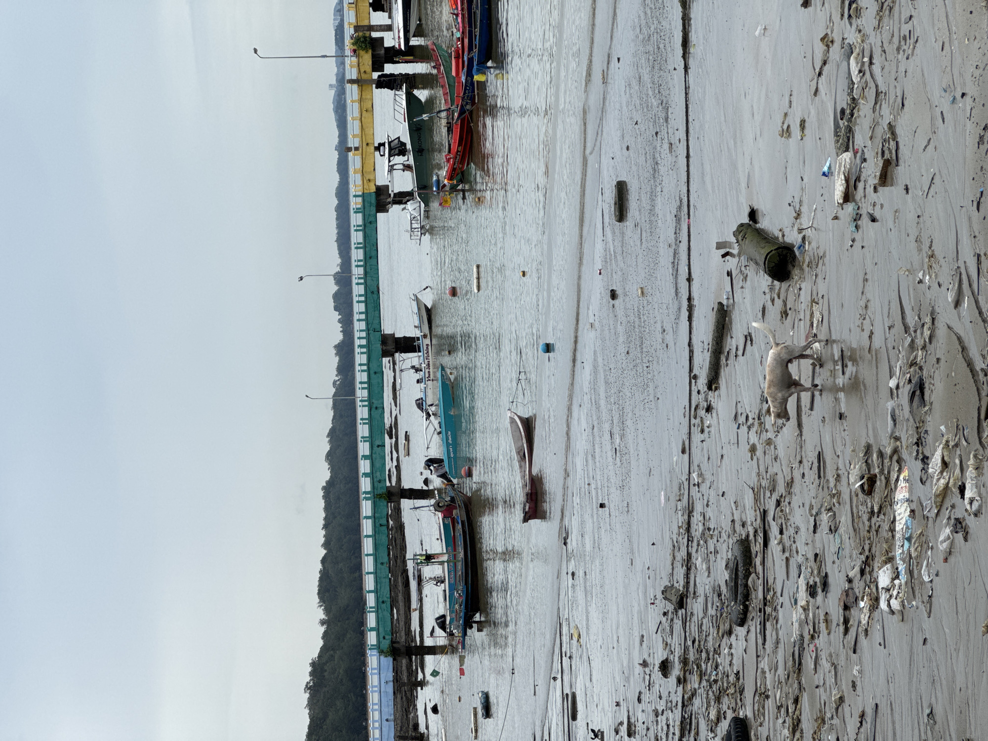 This image depicts a section of the beach in Ban Phe, Thailand, characterized by significant litter and debris scattered across the wet sand and shallow water. The foreground is dominated by a thick layer of plastic waste, bottles, tires, and other refuse, with a light-colored dog walking through it. In the mid-ground, several small fishing boats are moored in the water. Behind the boats, a multi-colored bridge extends across the water, supported by concrete pillars. The bridge has sections painted in green, yellow, and blue. In the background, a dense line of trees forms the coastline, with a hazy sky overhead. The scene conveys a sense of environmental pollution affecting the coastal area.