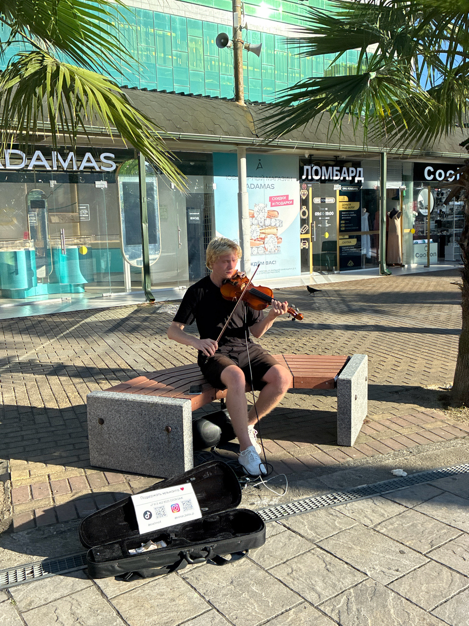 A young man with blond hair is playing the violin while sitting on a bench outdoors, in front of shops. He is wearing a black t-shirt and shorts. A violin case is open on the ground next to him, with a QR code and social media handles displayed on a card inside. The background shows a modern building with large windows, likely a commercial area. Palm trees are visible in the foreground. The scene appears to be in Sochi, Russia, based on the Cyrillic text on the shop signs, which include "DAMAS" and "ЛОМБАРД" (Lombard), a pawnshop. The ground is paved with stone tiles, and a drain grate is visible. The lighting suggests it is daytime, with shadows cast by the trees and the man.
