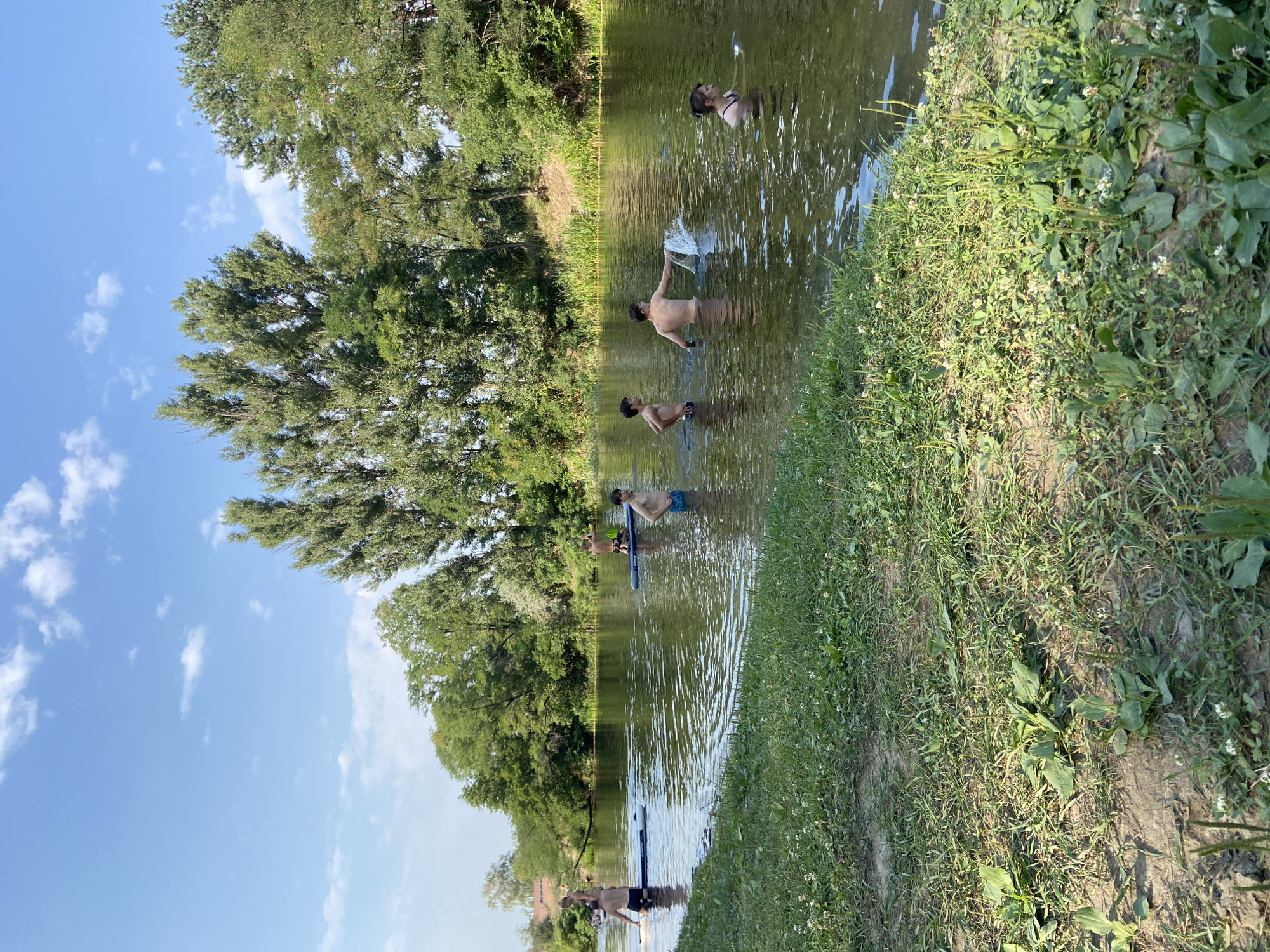 In Petrivka, Ukraine, on a sunny day, several individuals are enjoying the waters of a river. In the foreground, a grassy bank slopes down to the water's edge, dotted with small white flowers and green plants. The river itself is calm, reflecting the blue sky and scattered white clouds. On the water, a group of young people are engaged in various activities. Two individuals are standing on paddleboards near the left bank, one appearing to be helping another onto a board. Further out in the river, three boys are wading. One is standing still, another is splashing water with his hands, and the third is looking towards the splash. On the right side of the river, a young woman is swimming. The background is densely lined with lush green trees, with taller trees reaching towards the sky. In the distance, a building with a red roof is partially visible through the foliage on the left bank. The overall scene depicts a leisurely summer day spent outdoors by the river.