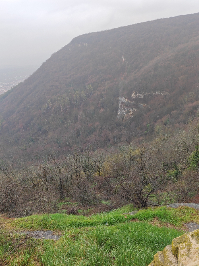 The image displays a panoramic view of a densely forested mountain slope, characteristic of the Shumen Plateau in Shumen, Bulgaria, under an overcast sky. The slope is covered predominantly by leafless deciduous trees and shrubs, exhibiting a color palette of browns and muted greys, with sparse areas of light green foliage, indicating either late autumn, winter, or early spring. Visible within the mid-slope are several light-colored rock outcrops or cliffs embedded amongst the vegetation. The immediate foreground features a section of vibrant green grass and low-lying vegetation on a gentle incline, with a partially visible weathered stone structure in the lower right corner. In the distant left, the urban landscape of Shumen city is faintly discernible through a atmospheric haze at the base of the plateau. No individuals, animals, or direct human activities are depicted within the scene. The lighting is soft and diffused, consistent with a cloudy day.