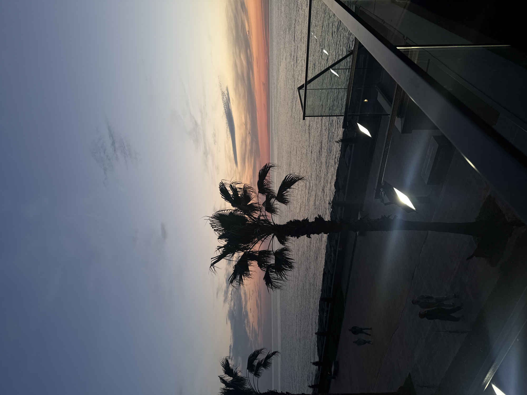 This image depicts a picturesque sunset over the sea, likely the Black Sea coastline in Batumi, Georgia. The sky transitions dramatically from a soft grey-blue at the zenith to vibrant streaks of orange, pink, and pale yellow along the horizon, indicating the end of the day. Scattered clouds are visible, catching the last warm light of the sun.
The tranquil sea extends towards the horizon, its surface subtly reflecting the changing colors of the sky. In the foreground, the bold silhouettes of several palm trees are prominently featured, their fronds etched against the colorful backdrop, adding to the tropical coastal atmosphere.
A paved promenade or walkway runs along the coast, where several human figures are seen strolling, enjoying the evening. These individuals are also rendered as dark silhouettes against the artificial lights that dot the promenade. Bright, rectangular light sources, possibly streetlights or architectural lighting, cast pools of illumination on the ground. To the far right, a modern structure with dark framing and glass railings, possibly a balcony or an exterior part of a building, offers a vantage point overlooking the sea.
The scene conveys a peaceful and scenic coastal evening. No visible text is present in the image.