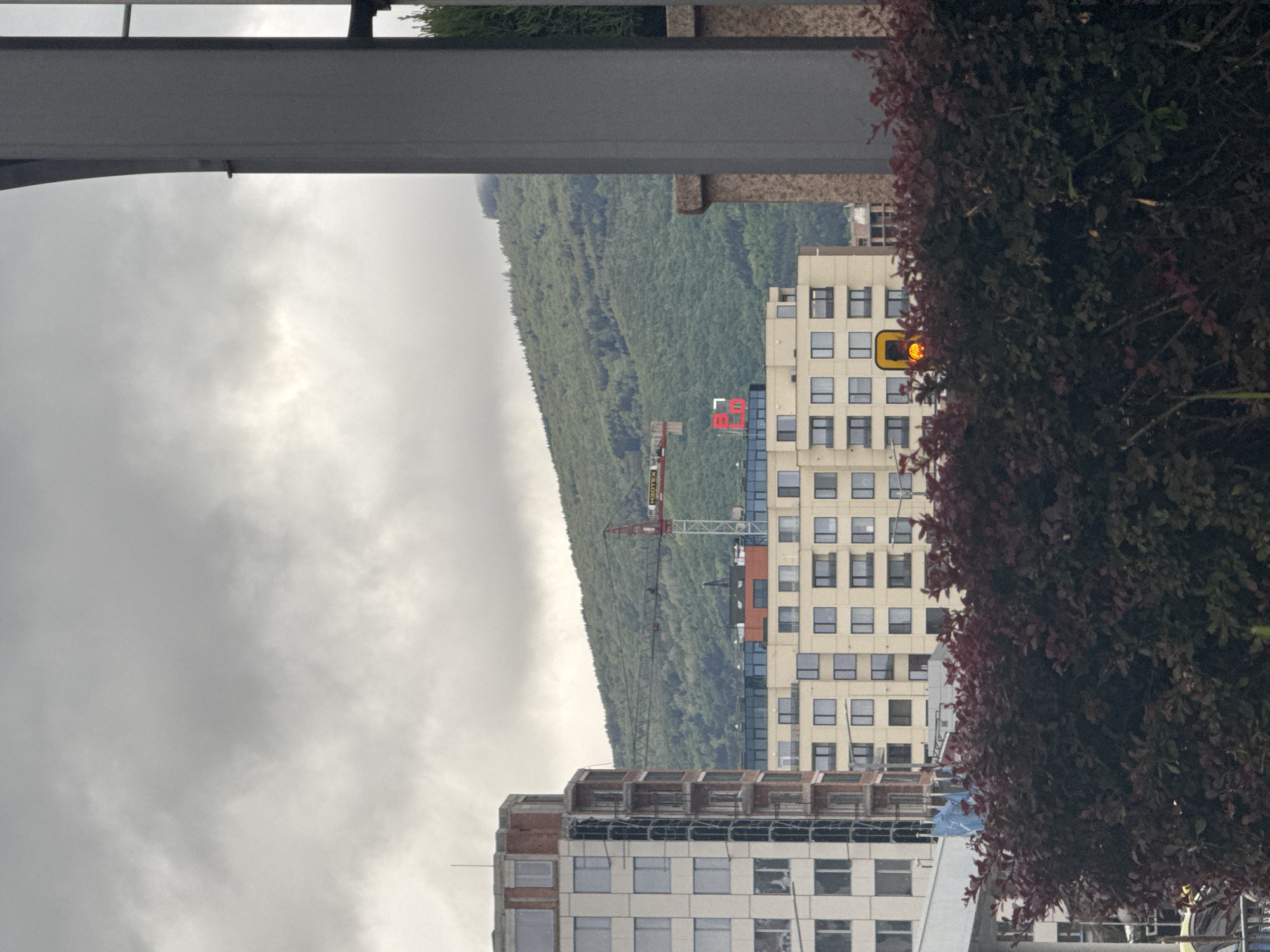 The image shows a view of the cityscape in Sofia, Bulgaria. In the background is a forested mountain obscured by an overcast sky. A red construction crane is visible. In the foreground, there are several multi-story buildings with numerous windows. One building has a sign with the number "68" on its roof. Part of the scene is framed by a gray structure above and a reddish bush on the right side of the frame. A lit traffic light is visible near the right side of the building. The image appears to be taken from an elevated position.