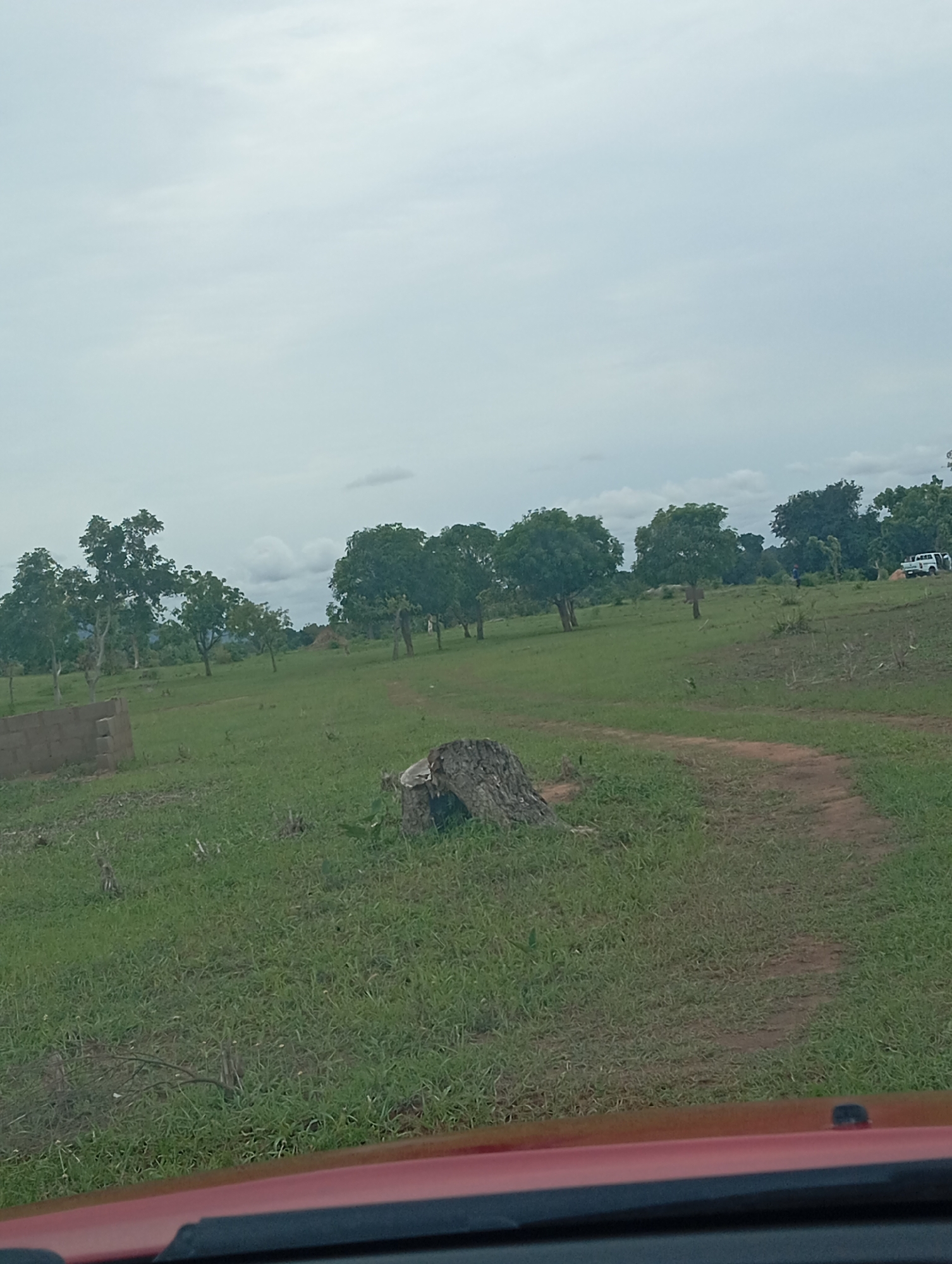 The image depicts an outdoor scene in a rural area, likely Garin Mallum, Nigeria. The setting is a grassy, gently sloping landscape dotted with numerous trees of various sizes, suggesting a savanna or woodland environment. In the foreground, a red-colored vehicle's dashboard or hood is visible, indicating the photo was taken from inside a car.
The most prominent object in the foreground is a large tree stump, weathered and rough, sitting in the grass to the right of the center. A dirt path or track winds its way through the grass, curving away from the viewer and towards the background. On the left side of the image, a partially constructed brick wall is visible, possibly part of a building or enclosure.
In the middle ground and background, more trees are spread across the landscape, some with lush green foliage. In the distance, a white vehicle is parked on the right, and a few indistinct figures can be seen, one near the vehicle and another further back. The terrain appears somewhat uneven, with patches of bare earth and dried vegetation interspersed with the green grass.
The sky is overcast with diffused light, suggesting it is either early morning or late afternoon, or possibly a cloudy day. There are no visible signs of text in the image. The overall impression is one of a quiet, natural environment in a rural setting.