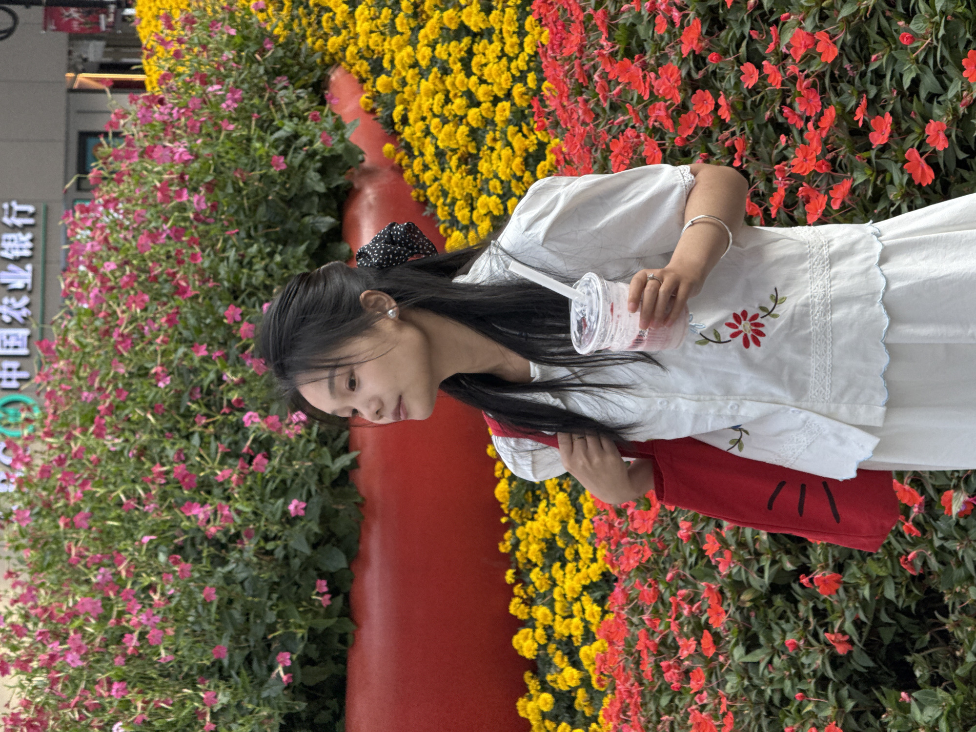 A young Asian woman is standing outdoors amidst a vibrant display of flowering plants. She is turned slightly to her right, holding a clear plastic cup with a straw, likely containing a beverage. The woman is wearing a white dress and a red bag with some design on it is slung over her shoulder. Her hair is long, dark, and partially adorned with a polka-dot bow.
She is surrounded by dense clusters of flowering plants in shades of pink, yellow, and red, creating a colorful floral border. A red barrier is partially visible amongst the flowers. The flowers appear to be planted in a public space, possibly a garden or roadside beautification project.
The environment suggests a city setting. A sign with Chinese characters is partially visible, indicating that the location is likely in China. Based on the crops of this image, the location is likely in the Yuzhong District of China.