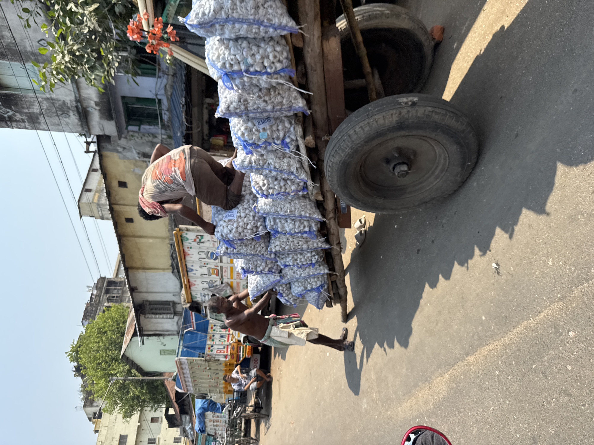 In Kolkata, India, two men are engaged in transporting a large stack of bagged garlic on a wooden cart with wheels. One man, wearing a t-shirt and head covering, is positioned on top of the garlic bags, while the other, bare-chested and wearing a sarong-like garment, pulls the cart. The scene is on an asphalt road lined with buildings, trees, and other vehicles in the background. The lighting suggests it is daytime.