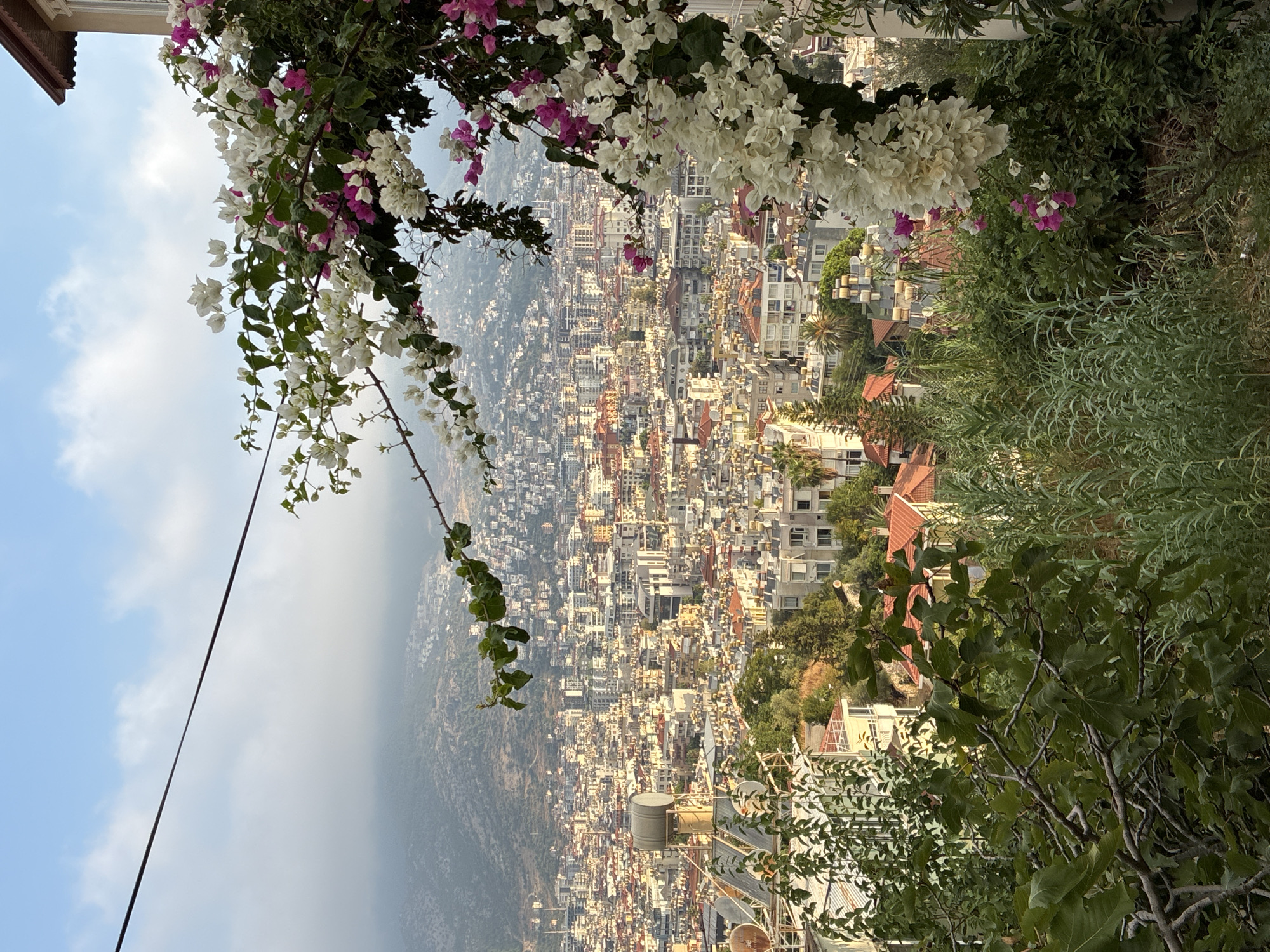 The image shows a panoramic view of Alanya, Turkey, from a high vantage point. In the foreground, vibrant bougainvillea flowers with white and pink blooms cascade down, framing the scene. Lush green foliage and tall grasses obscure some of the foreground buildings.
The middle ground is dominated by a dense urban landscape of Alanya, characterized by numerous buildings with terracotta-tiled roofs, typical of Mediterranean architecture. Many buildings feature solar water heaters on their rooftops, a common sight in the region. A large, cylindrical water tank is also visible, along with several satellite dishes. The city sprawls across hillsides that rise towards a larger, hazy mountain range in the background. The sky is partly cloudy with a light haze, suggesting a warm, clear day. A dark power line runs diagonally across the upper portion of the image. There are no people visible in the scene.