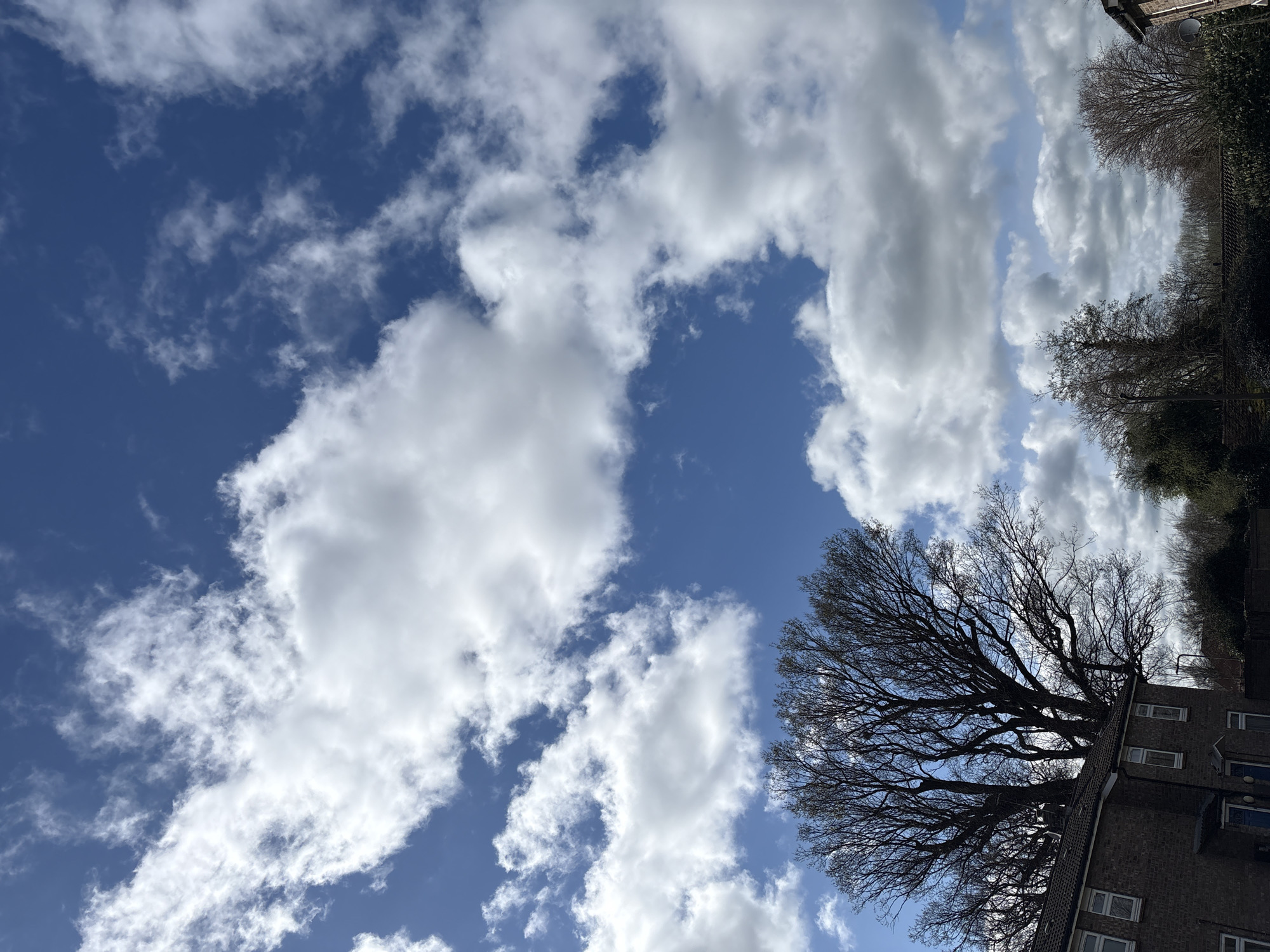 The image shows a partly cloudy sky in Minsterley, United Kingdom. Fluffy white clouds are scattered across a deep blue sky. In the bottom right corner, a bare tree stands in front of a brick building. Other trees and vegetation are visible along the top edge of the building.