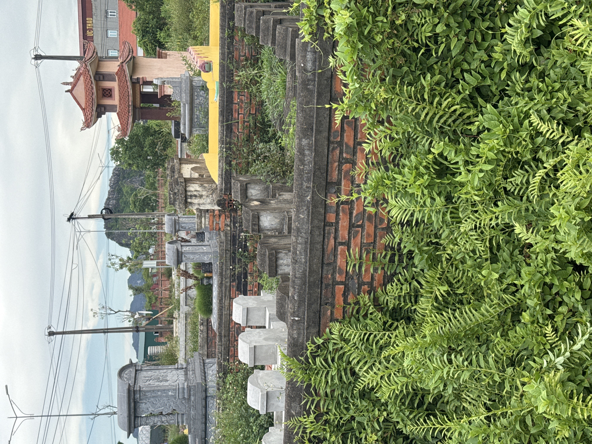 The image depicts a cemetery in Hoa Lư Ward, Vietnam, with numerous gravestones and mausoleums. The foreground is dominated by dense green foliage, likely ferns and other leafy plants, partially obscuring a low brick wall. Behind the wall, a collection of gravestones of varying sizes and designs are visible. Some are elaborate, carved stone structures with arched tops, while others are simpler, block-like monuments.
In the middle ground, a prominent, ornate multi-tiered pagoda-like structure with a red tiled roof stands out. Adjacent to it, there is a bright yellow elevated platform, possibly another type of mausoleum or altar. Behind these structures, more gravestones and vegetation are seen, leading towards the background.
The background features a building with red-tiled roofs and signs, including one that reads "ỨC THẢO." A mountain range with rocky outcrops is visible in the far distance under a cloudy sky. Power lines and poles are strung across the upper part of the image, indicating the presence of infrastructure. The scene is quiet and appears to be during the daytime, with overcast conditions contributing to diffused lighting. No people are present in the image.