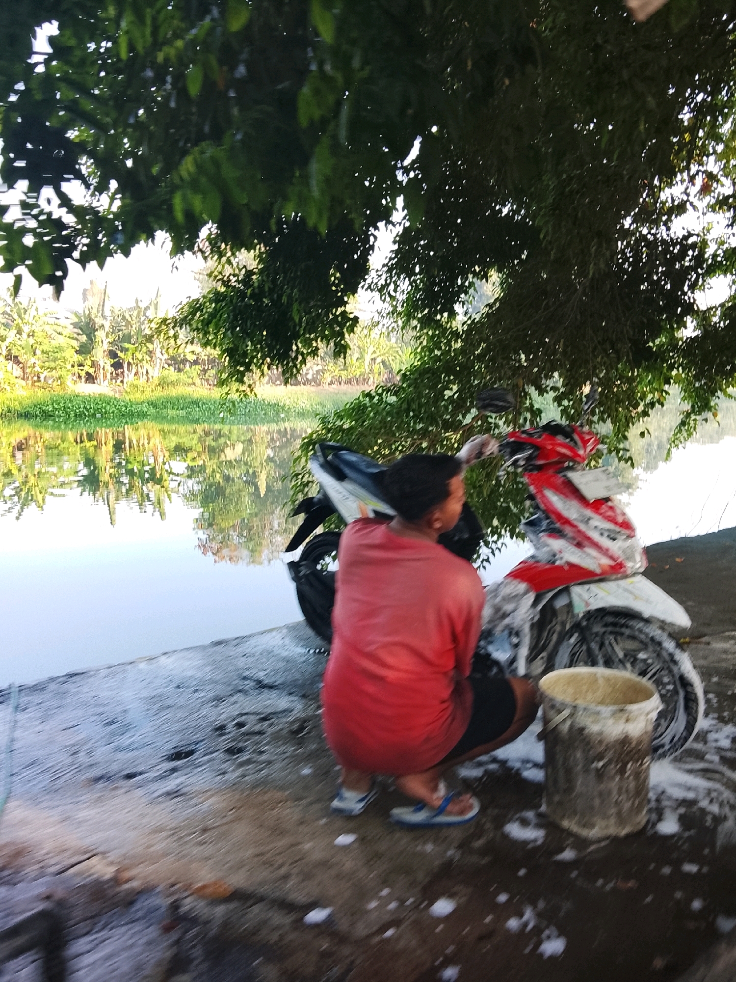 A young boy, wearing a red t-shirt and dark shorts, is squatting on a concrete surface next to a red and white motorcycle. He is partially obscured by a large tree with green leaves that casts a shadow over the scene. The boy appears to be washing the motorcycle, as there is soap suds on the ground and on the bike. A bucket filled with water and soap sits beside him. In the background, a calm body of water reflects the surrounding lush green vegetation and trees, indicative of a natural setting, possibly along the coast or a riverbank. The scene is likely set in Surabaya, Indonesia, given the presence of tropical foliage and the commonality of motorcycles in the region.