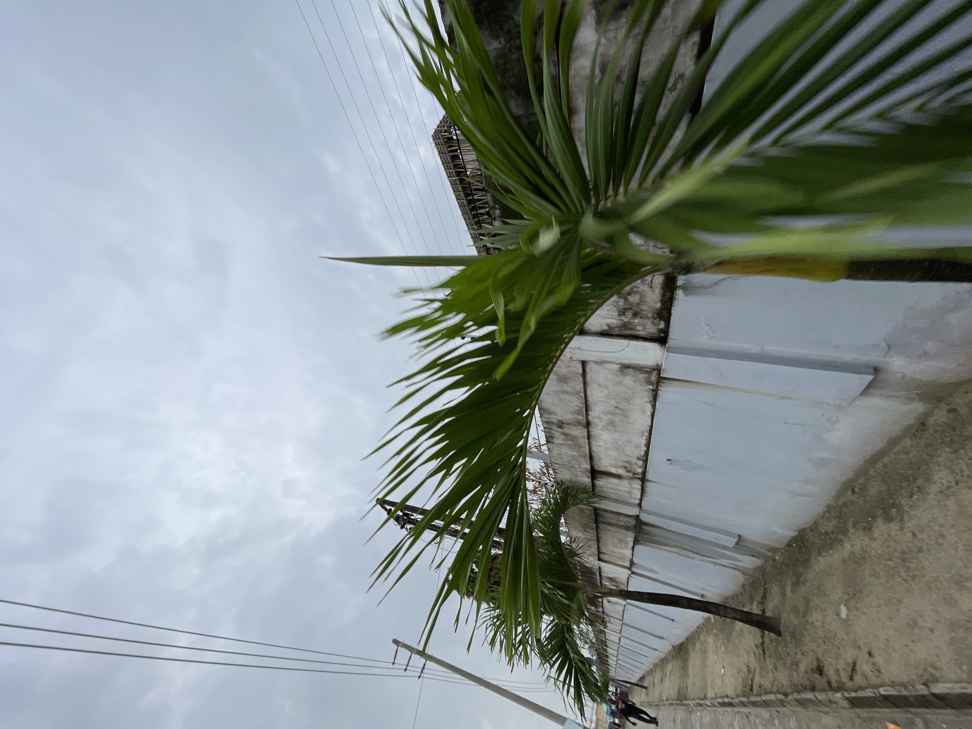 The image captures an outdoor scene, likely in Igboefon, Nigeria, under an overcast sky. In the foreground, the fronds of a palm tree extend across the frame, partially obscuring the view. To the left, a concrete curb runs alongside a dirt path, with utility poles and power lines visible in the distance. A person is seen walking on the path. Behind the palm tree and path, a light-colored concrete wall with a textured surface stretches horizontally. Beyond the wall, there is a glimpse of a construction site with wooden scaffolding against the sky. The overall impression is one of an urban or semi-urban environment with ongoing development, set against a muted, cloudy backdrop.