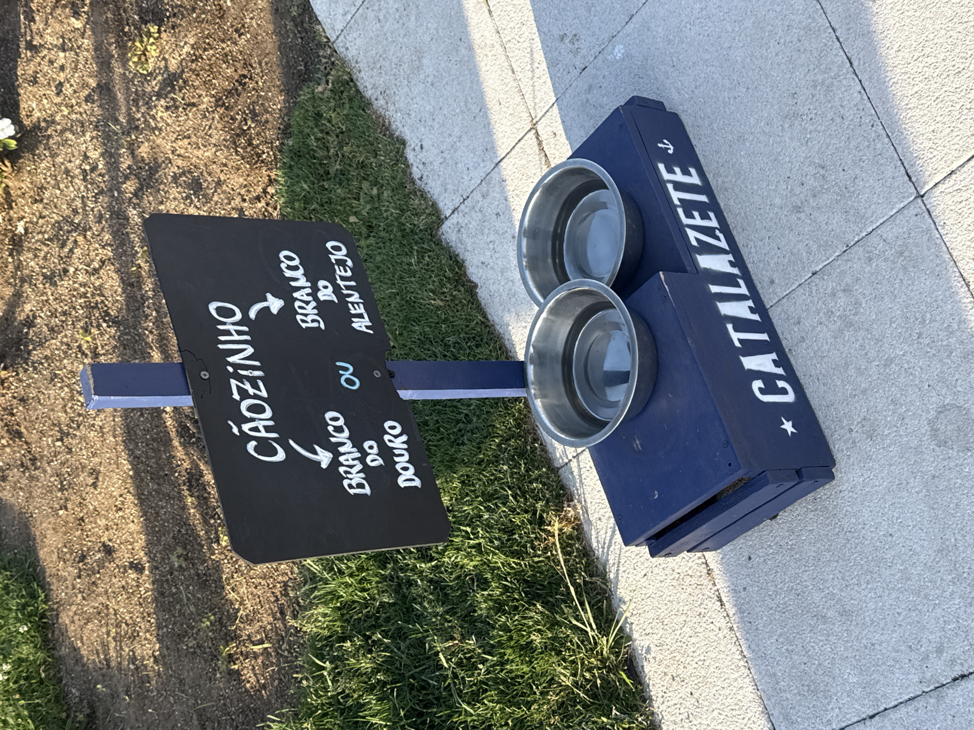 An outdoor scene in Oeiras, Portugal, features a blue wooden structure designed to hold two stainless steel dog bowls filled with water. A dark chalkboard sign, mounted on a blue post, displays white lettering in Portuguese. The sign reads "CÃOZINHO" at the top, with an arrow pointing down to "BRANCO DO DOURO" on the left and "BRANCO DO ALENTEJO" on the right, separated by the word "OU". Below the structure, the word "CATALAZETE" is stenciled in white, accompanied by a small anchor graphic. The ground is a paved walkway next to a grassy area with soil and shadows from sunlight.
