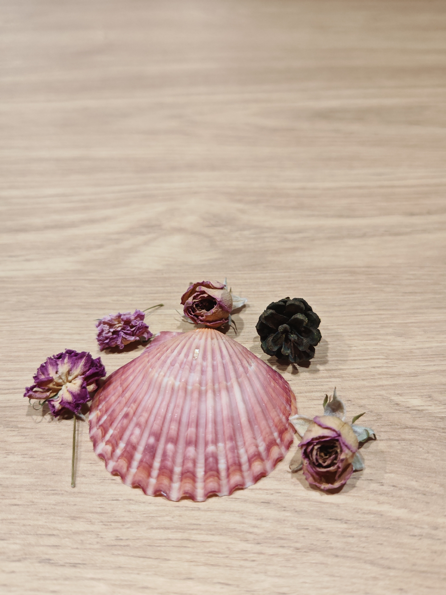 A pink seashell is centrally placed on a light brown wooden surface, surrounded by four dried flowers and a small dark brown pinecone. Two of the dried flowers are purple and appear to be on stems. One dried flower is pinkish-brown and appears to be a rosebud. The fourth dried flower is also a rosebud, but is a darker pinkish-brown color. The pinecone is small and dark brown, positioned to the right of the seashell. The background is an empty wooden surface. There are no people or animals in the image. The scene appears to be a still life arrangement, possibly for decorative purposes. The location is not specified in the image.