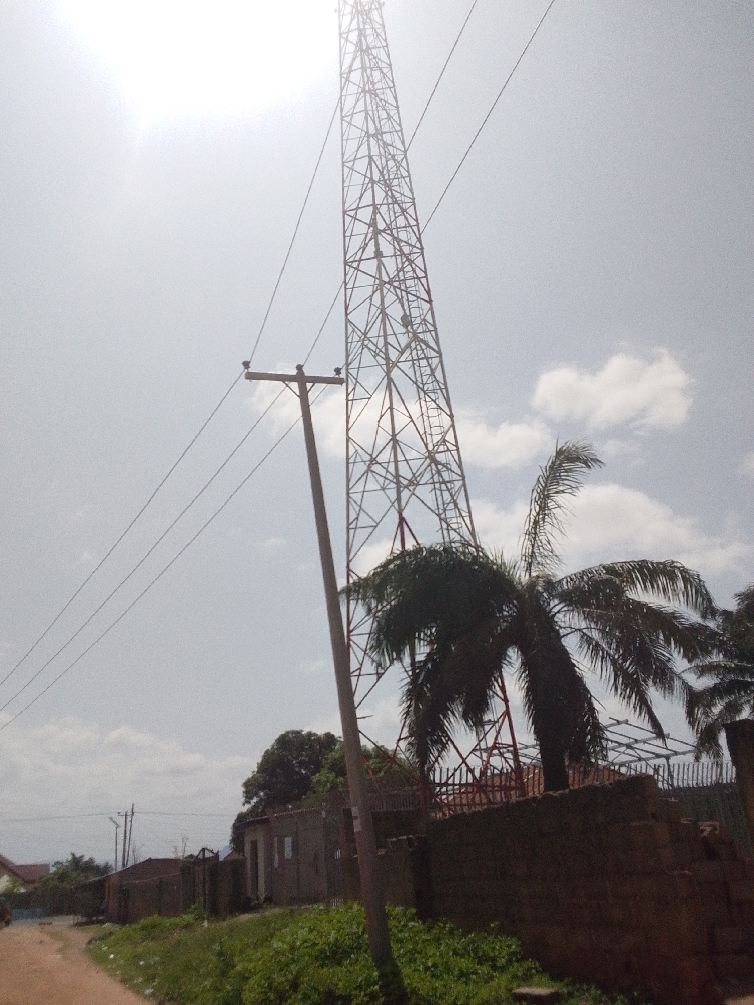 The image depicts an outdoor scene in Jalingo, Nigeria, on a bright, overcast day. A towering lattice transmission tower dominates the upper right portion of the frame, its metal structure stark against the hazy sky. In the foreground, a wooden utility pole with crossbars and insulators supports several power lines that stretch diagonally across the image. To the right of the pole, a lush palm tree with feathery fronds partially obscures the base of the transmission tower.
Below the power lines and to the left of the utility pole, a dirt road winds through the scene. Along the right side of the road, a low, rough-hewn brick wall runs horizontally, separating the road from an area of dense green vegetation and several low-rise buildings. These structures appear to be simple dwellings or small shops, with weathered walls and visible doorways. One building has a red-tiled roof peeking out from behind the others. In the background, more trees and vegetation can be seen, suggesting a semi-urban or rural setting. The overall atmosphere is one of everyday life in a warm climate, with the infrastructure of power transmission prominently featured alongside the natural elements of palm trees and vegetation. No people are clearly visible, and there is no text present in the image.