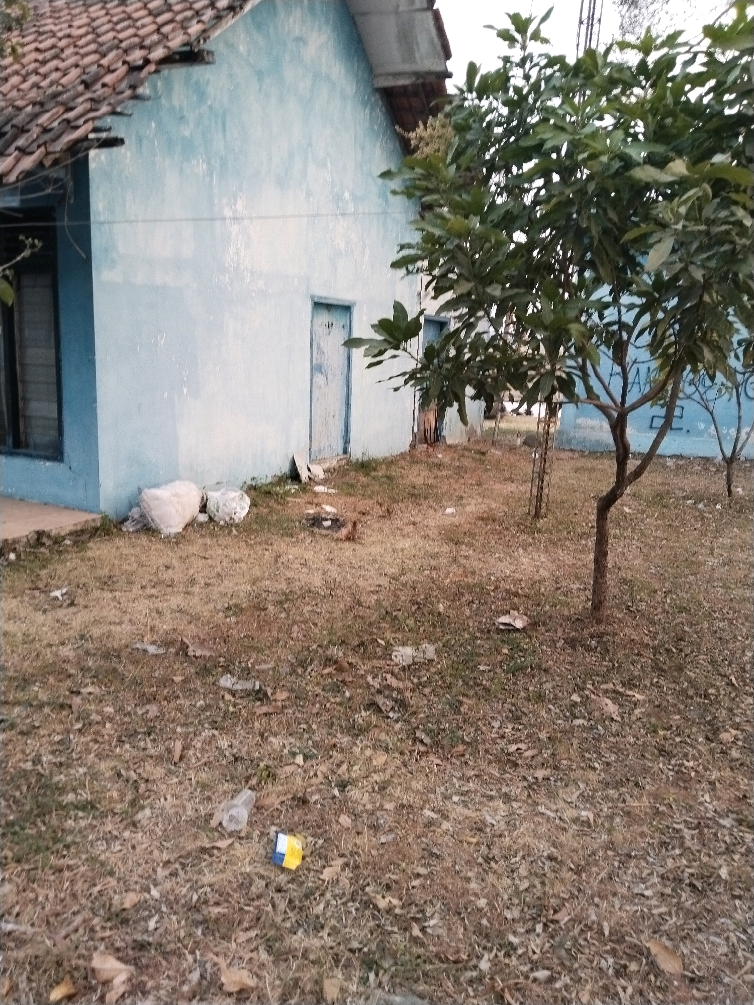 The image depicts a side view of a pale blue building with a red tiled roof, located in Prupuk Utara, Indonesia. The building has a window on the left and a light blue door on the right. In front of the building, the ground is covered in dry grass and fallen leaves, with scattered debris including plastic bottles and a yellow and blue wrapper. A young tree with green leaves stands to the right of the building, and some sort of metal structure is visible behind it. Two large, white, amorphous objects are placed near the building's foundation.