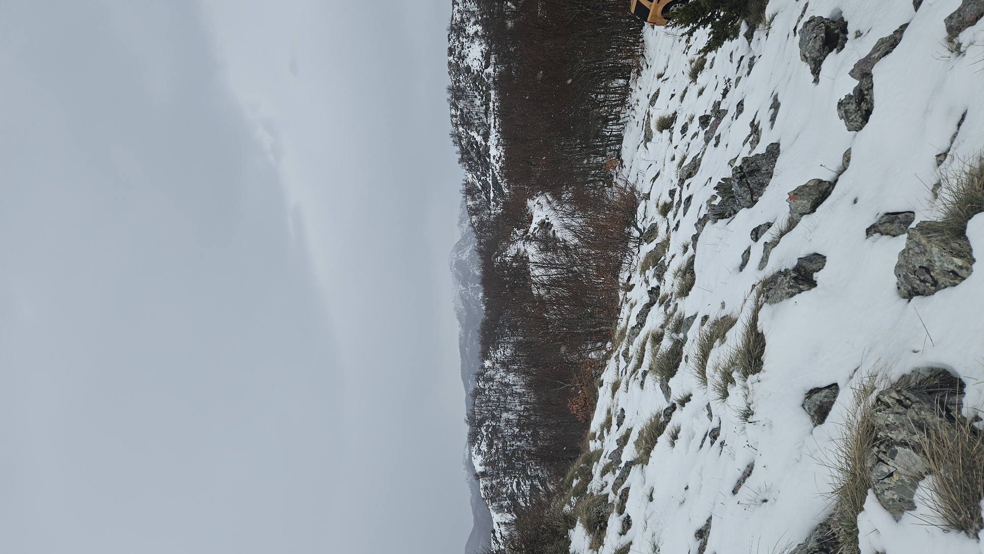 The scene is a snow-covered mountainside in Velji Bostur, Montenegro. The ground is a mix of rock, snow, and sparse patches of dry grass. In the middle distance, there is a dense line of bare trees. The sky is overcast with a uniform grey color. The image is oriented vertically.