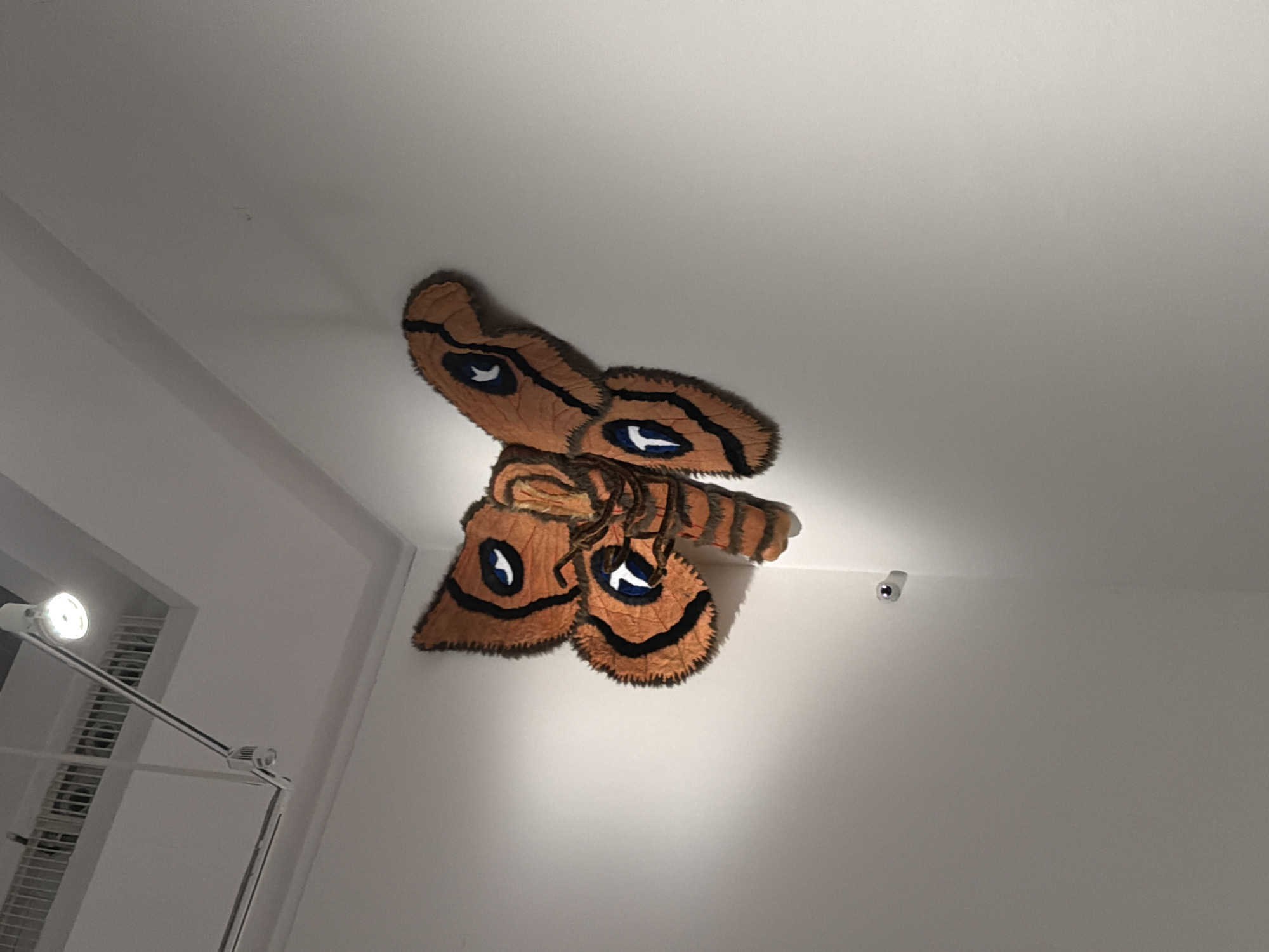 A large, plush, moth-like art installation dominates the white ceiling of an indoor space. The artificial moth, with an approximate wingspan suggesting it's quite large, is predominantly brown with distinct black stripes and patterns. Each of its four wings features a prominent eyespot design, consisting of a black outline around a blue segment, with a small white highlight. The moth appears soft and textured, possibly made from fabric or faux fur, and is positioned at an angle on the ceiling, casting a shadow below it.
On the left side of the frame, a white, modern desk or floor lamp with an adjustable arm is visible. Its circular light source is illuminated, casting light towards the ceiling and partially illuminating the wall. Behind the lamp, a white vent or grille is integrated into the wall. On the right side of the image, mounted high on the wall near the ceiling, is a small, white, cylindrical security camera or sensor.
The room features clean white walls and ceiling, suggesting a contemporary or minimalist aesthetic. The lighting indicates an indoor setting, likely relying on artificial light sources, possibly at night or in a room with limited natural light. No specific activity is depicted, and there is no visible text in the image. The overall impression is that of an exhibition space, modern office, or an unconventional living area.