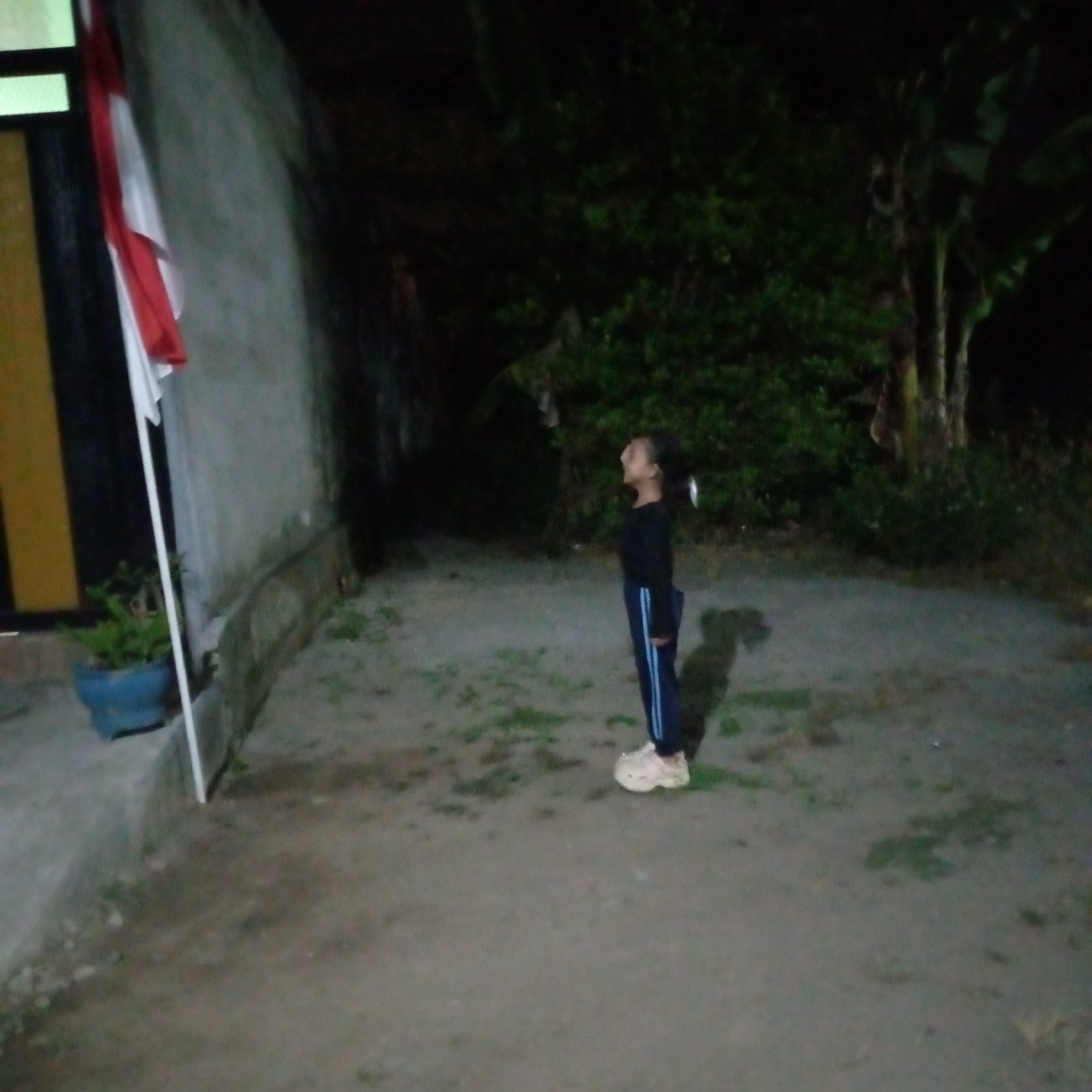 A young girl, appearing to be of Southeast Asian descent, stands outdoors at night in what is presumed to be the city of Sumberwono, Indonesia. She is dressed in a dark long-sleeved shirt and dark pants with a blue stripe, and is wearing light-colored shoes. The girl is looking upwards with her mouth open, as if singing or shouting. To her left, a flagpole with a red and white flag, possibly the Indonesian flag, is visible next to a wall. A blue pot with a green plant sits at the base of the wall. The ground is a mix of dirt and sparse vegetation. In the background, dark foliage and trees are present, suggesting a rural or semi-rural setting. The lighting conditions indicate it is nighttime, with artificial light casting shadows.