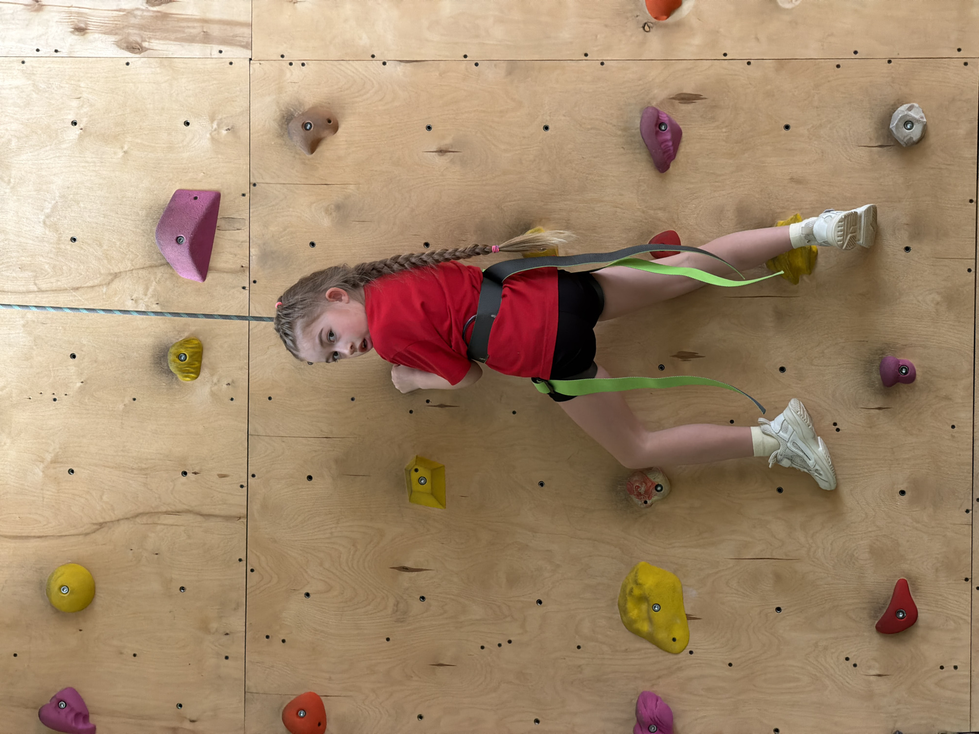 A young girl is secured by a harness, attached to a cable, and is positioned on a climbing wall. The climbing wall is constructed of light-colored plywood panels. Various shapes and colors of handholds and footholds are mounted to the wall. The girl wears a red shirt, black shorts, and white sneakers. She has a long braid. The location is likely an indoor rock-climbing gym or recreational facility, but there is no information to verify the specific location in Izhevsk, Russia.
