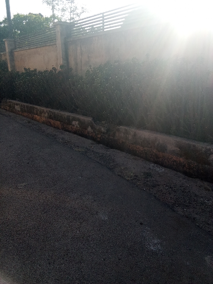 The image depicts a street scene in Jos, Nigeria, viewed from a low angle under conditions of strong backlighting from a low sun in the upper right. The foreground features a dark, asphalt-paved road that recedes into the distance on the left. Running parallel to the road on the right is a concrete drainage channel or curb, appearing discolored and exhibiting damage with sections broken or missing. Immediately behind this channel, a dense, green hedge of shrubs extends horizontally across the frame. Behind the hedge, a light-colored stucco or concrete wall is visible, topped with a gray slatted fence structure. Portions of trees are visible above the wall in the upper left and center background. No people, vehicles, or overt activity are present within the frame.
