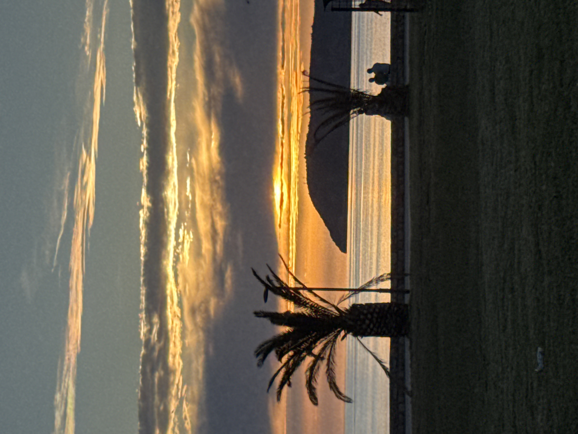 The image depicts a sunset or sunrise scene over the Adriatic Sea in Bar, Montenegro. The sky, occupying the upper two-thirds of the frame, displays horizontal bands of clouds. The uppermost clouds are thin and light against a muted grey-blue sky. Below this, a darker, thicker band of grey clouds extends horizontally. The horizon is characterized by vibrant orange and yellow light, indicating the sun's low position, partially obscured by clouds above a distant dark landmass.
A calm body of water, likely the Adriatic Sea, reflects the ambient light and colors of the sky, forming a horizontal band across the mid-section of the image. On the horizon, a dark, silhouetted landmass, possibly a hill or small island, rises from the water, positioned slightly to the right of the frame's center.
In the immediate foreground, a dark grassy area covers the bottom third of the image. This area meets a dark, low wall or promenade structure that runs horizontally, separating the land from the water.
Several objects and individuals are silhouetted against the brighter background. On the left, a large palm tree stands prominently near the wall. To its right, a dark street lamp pole is partially visible. Further to the right, a smaller, less dense palm tree is also silhouetted. Two individuals are seated on the promenade wall to the right of the smaller palm tree, appearing as dark figures facing the water. Another individual's partial silhouette is visible on the far right edge of the frame, standing or walking near the promenade.