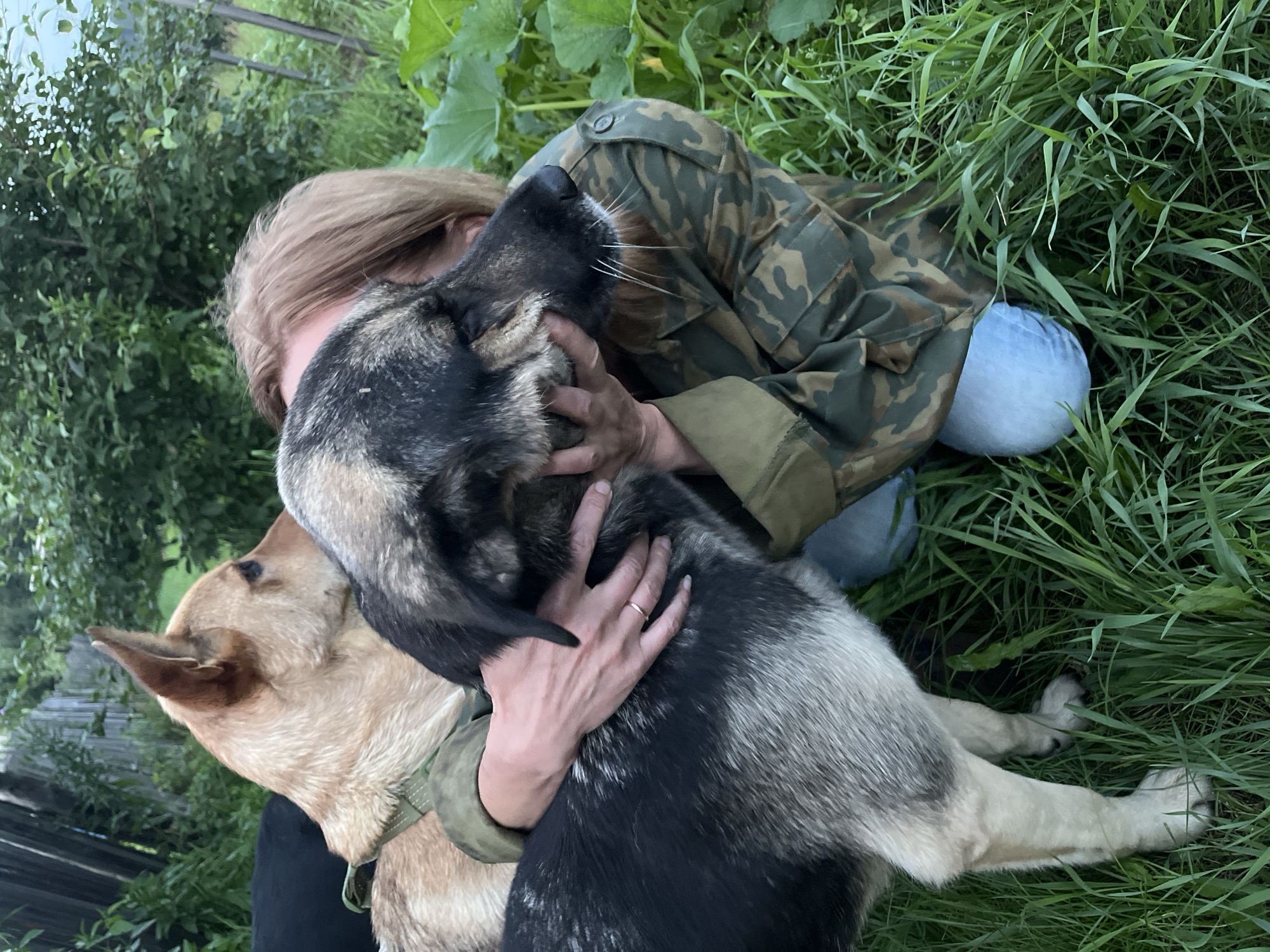 A person in a camouflage jacket and light blue jeans kneels in tall green grass, embracing two dogs. The dog in the foreground, a large breed with black and gray fur, is being held close to the person's face. A second dog, light brown with its head turned away, is partially visible behind the person, also being petted. The scene appears to be outdoors, possibly in a backyard or rural area, with dense green foliage in the background. The overall impression is one of affection between the person and the animals. The location is not identifiable from the image itself, and therefore cannot be specified as Nizhny Tagil, Russia.