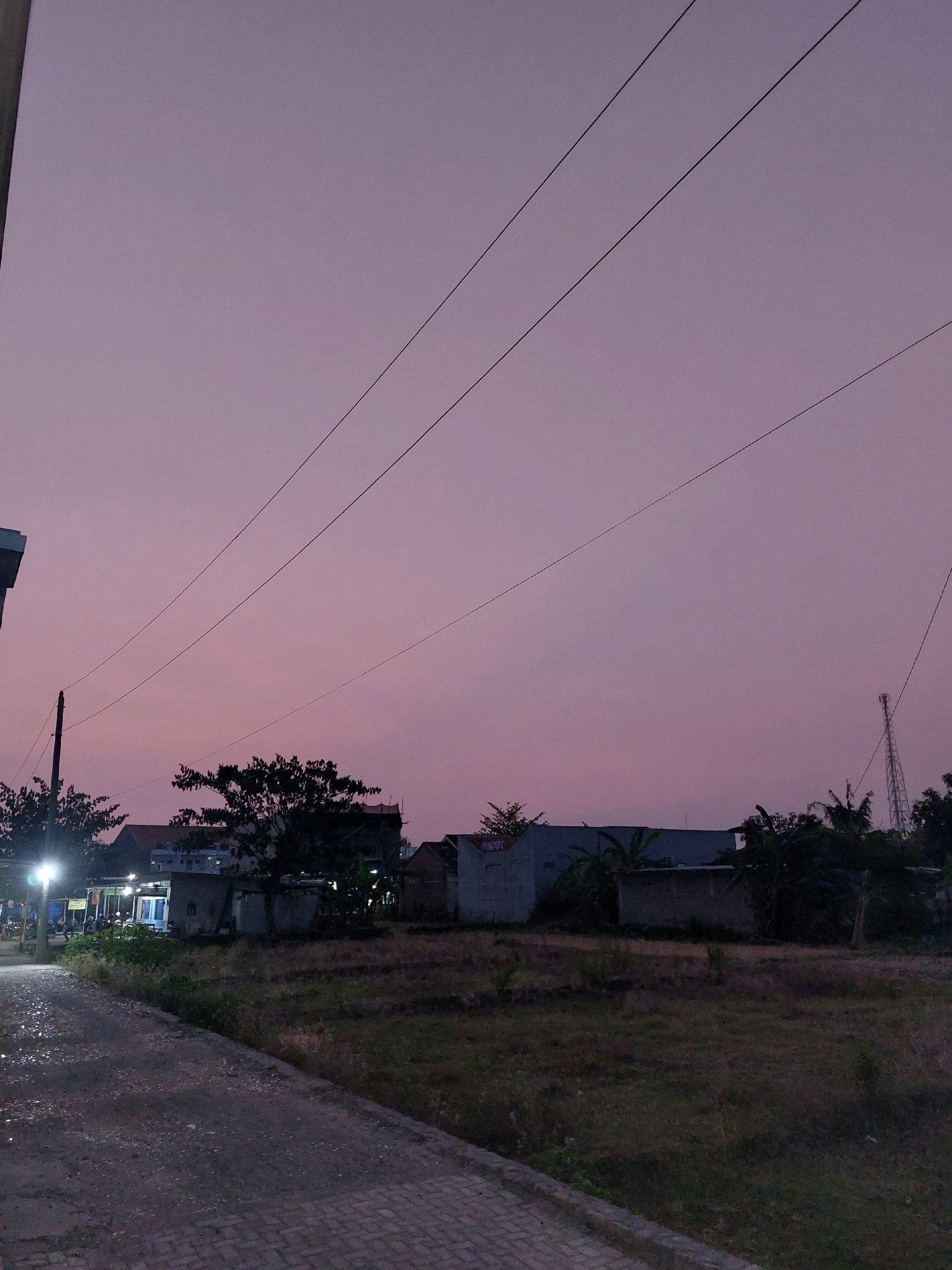 The image depicts a twilight scene in Wonokarto, Indonesia, with a soft, pastel-pink sky dominating the upper portion of the frame. Several power lines crisscross the sky at varying angles, silhouetted against the fading light. In the middle ground, there are several buildings, some appearing to be residential or small commercial structures, with lights on in one of them. Trees are scattered throughout the scene, with one particularly prominent tree with dense foliage in the center. A radio tower is visible in the distance on the right side of the image. The foreground features a paved pathway with a brick pattern, leading to a patch of dry, overgrown grass. The overall impression is one of a quiet, rural or semi-urban area at dusk. There are no people clearly visible in the image.