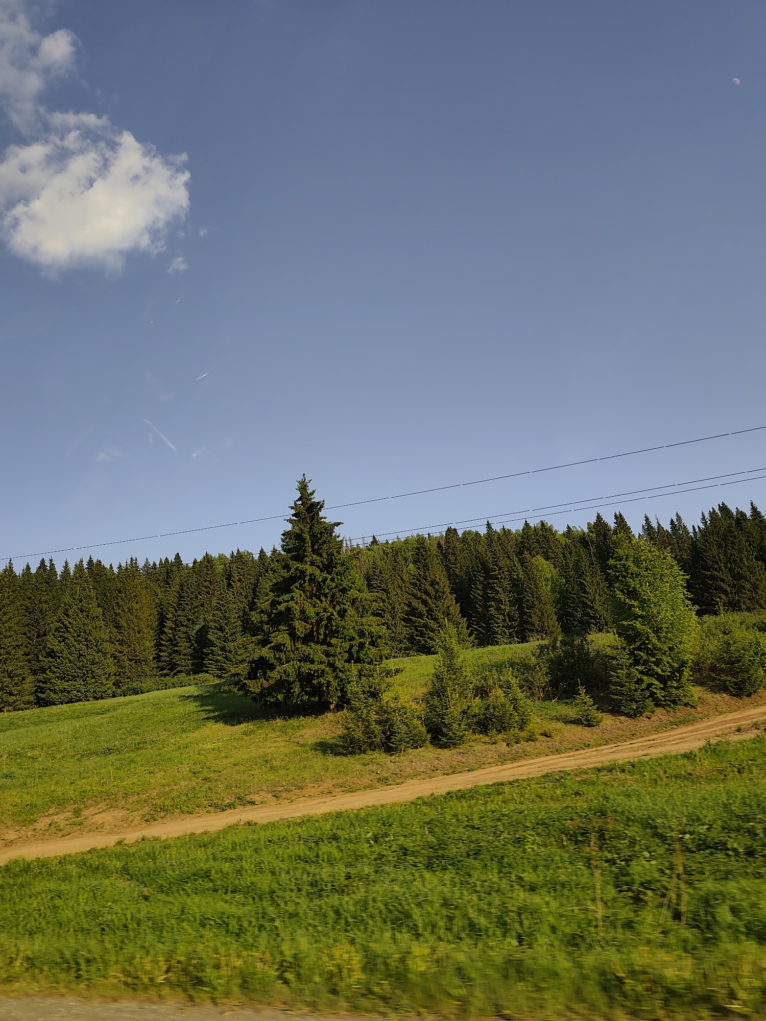 The image depicts a rural landscape in Нижний Пальник, Russia. A dirt road traverses a grassy hillside, leading towards a dense forest of coniferous trees. A few prominent trees stand on the hillside, casting shadows. Above, a blue sky is visible with a single white cloud and a crescent moon. Power lines are seen strung across the sky. The foreground is blurred, suggesting the photo was taken from a moving vehicle. There are no people visible in the image.