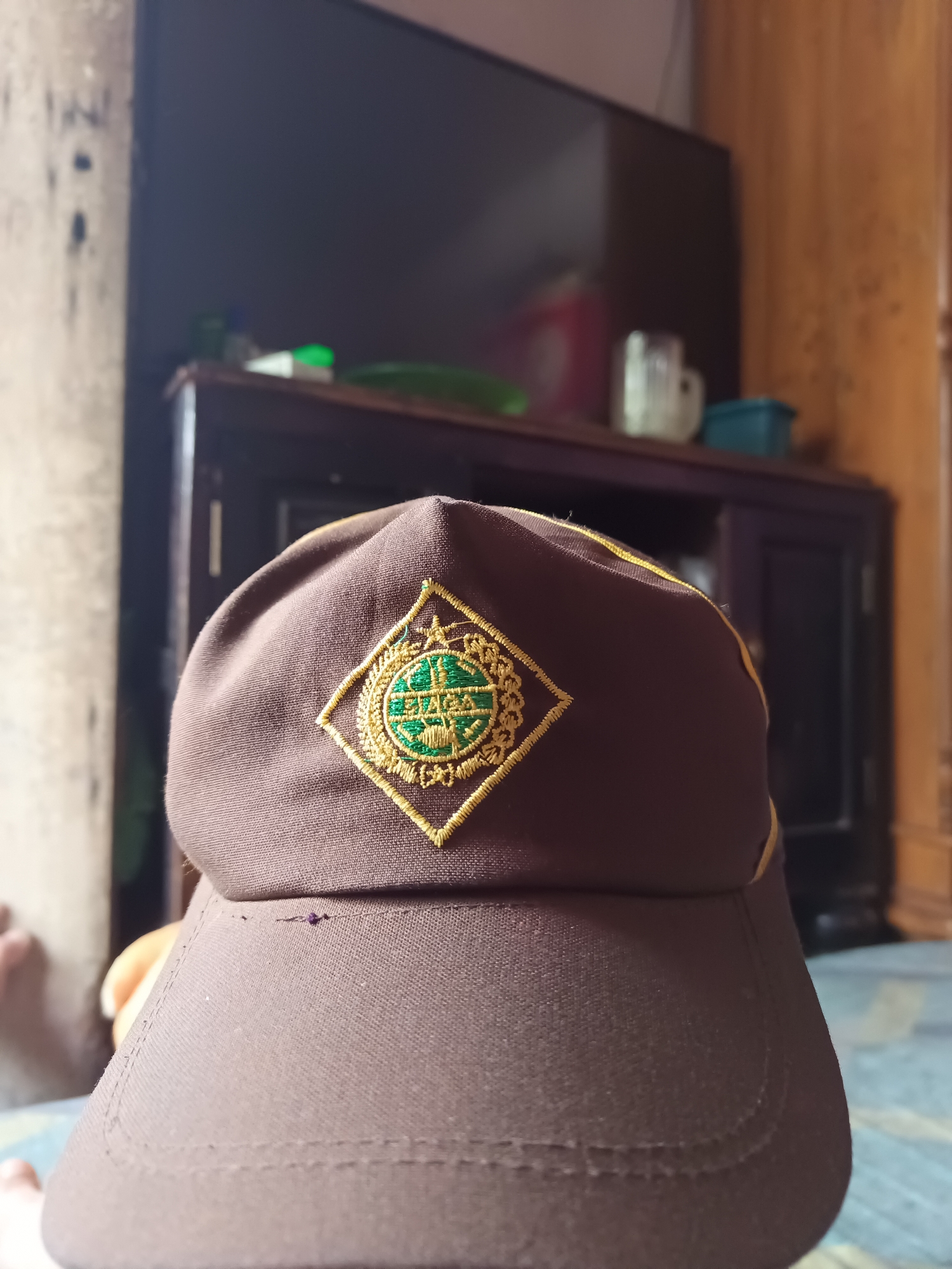 A brown baseball cap with a green and gold embroidered crest is the primary subject of the image. The crest is diamond-shaped with intricate designs and text in the center. The cap appears to be made of a textured fabric, possibly cotton or polyester. The background is blurred, showing what appears to be a television set in the upper portion of the image, and furniture with shelves below it. The lighting suggests an indoor environment. A small, dark speck, possibly a loose thread or dirt, is visible on the front of the cap. The image is a close-up shot, with the cap filling most of the frame. The location is not discernible from the image itself; it is not possible to determine the city of South Jakarta, Indonesia.