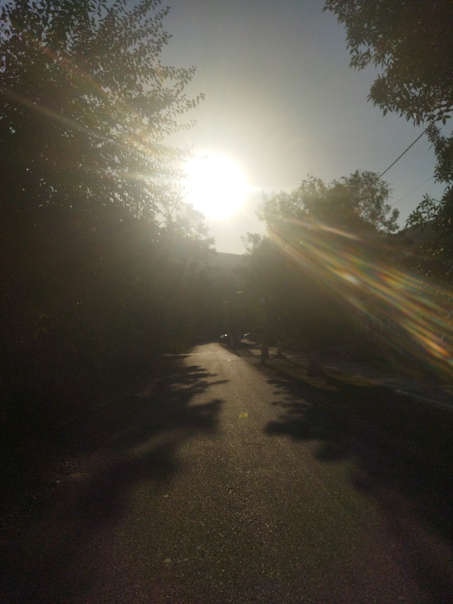 The image captures a sun-drenched road in Mailuu-Suu City, Kyrgyzstan. The sun is high in the sky, creating strong lens flare and a shimmering effect on the road. Dense foliage lines both sides of the asphalt road, casting long shadows that stretch across the pavement. The trees are lush and green, suggesting a warm season. The sky is a clear, pale blue, transitioning to a brighter haze around the sun. The road appears to be a paved pathway, likely a street or a quiet lane within the city. The overall scene evokes a sense of natural beauty enhanced by the powerful sunlight.