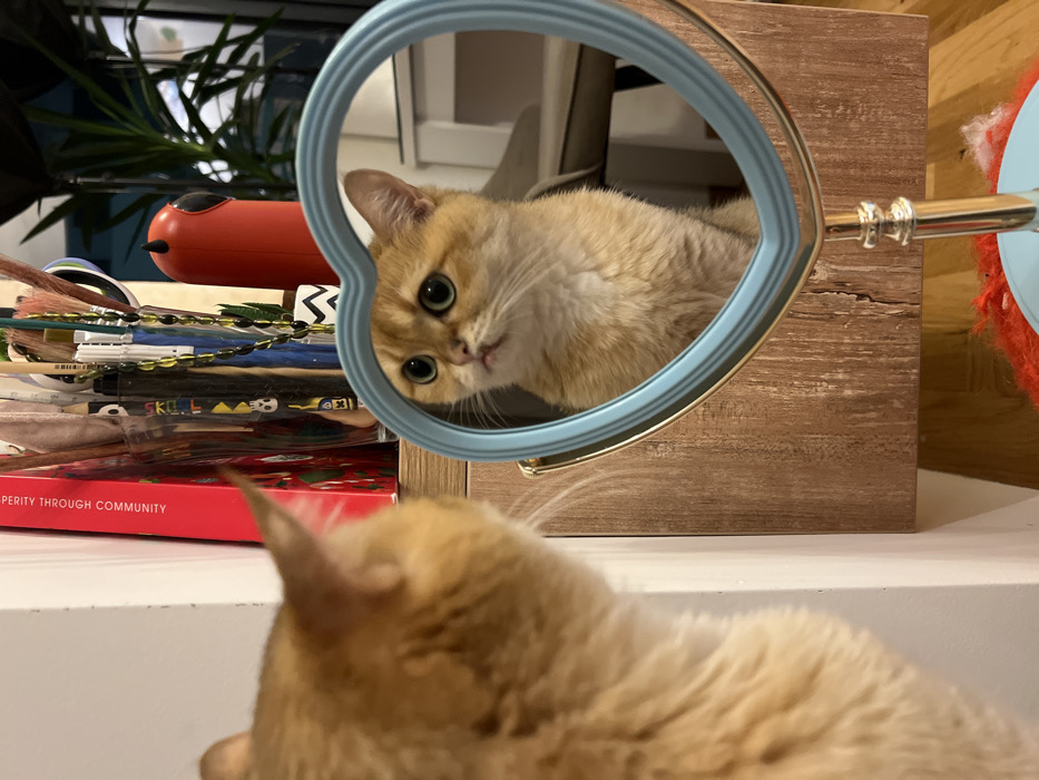 A light-orange cat gazes inquisitively from a blue, heart-shaped mirror, its large green eyes captivating the viewer. The mirror stands atop a cluttered surface, featuring art supplies and a red box. The blurred foreground reveals the back of another cat, its orange fur echoing the color of the reflected feline. A wooden box supports the mirror, creating a multi-layered composition filled with warmth and feline curiosity.