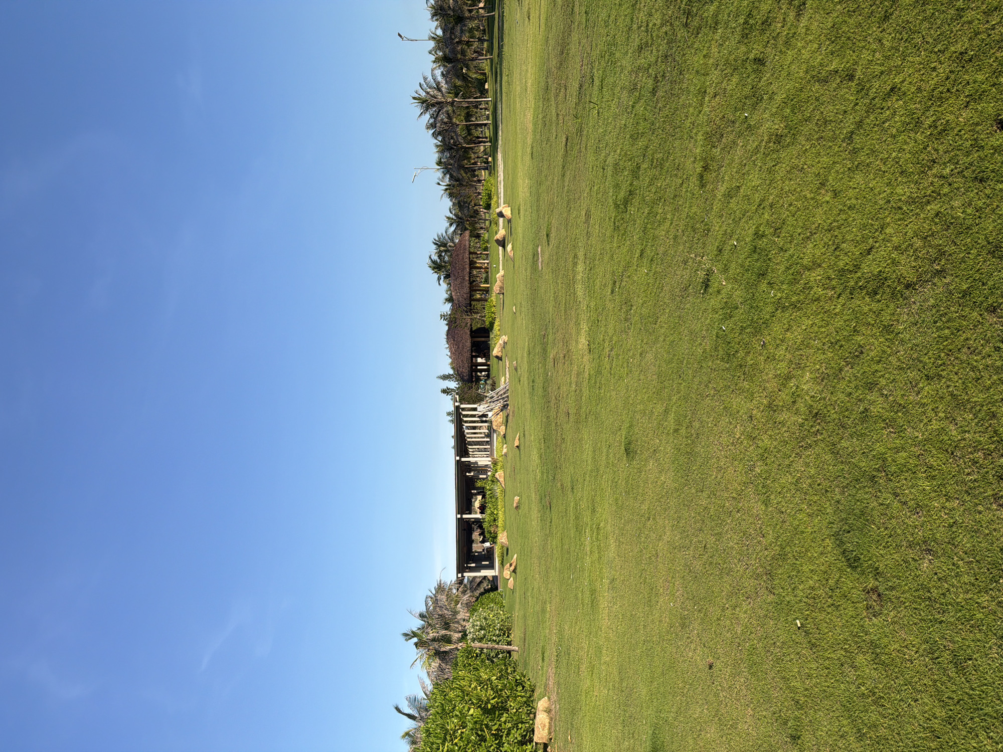 The image shows a well-maintained, expansive lawn with scattered rocks. In the background, a long, open-air building with a white roof and pillars is visible, suggesting it might be a pavilion or a restaurant. Further back, a line of palm trees stretches across the landscape, indicating a tropical or subtropical environment. Another smaller structure with a thatched roof is also present among the trees. The sky is clear and blue. The scene appears to be a resort or recreational area, likely in a location with a warm climate, consistent with Bac Cam Ranh Ward, Vietnam, known for its coastal resorts.