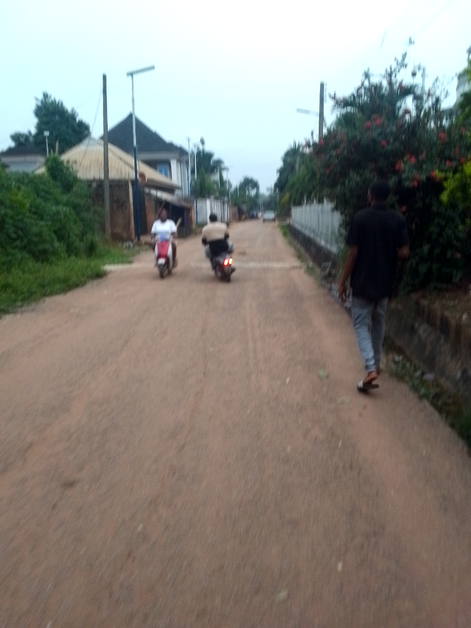 The image depicts an unpaved, reddish-brown dirt road in Orlu, Nigeria, under an overcast sky. The road stretches into the distance, lined on both sides by a mix of houses and dense green vegetation.
In the midground, two individuals are riding away from the camera on motorbikes or scooters. The person on the left is on a red and white scooter, wearing a white shirt. The second rider, slightly to the right, is on a darker motorcycle and appears to be wearing a light brown shirt. Both are seen from behind.
On the right side of the road, in the foreground, a person walks away from the camera. This individual wears a black short-sleeved shirt, grey pants, and sandals. A white picket fence runs alongside this side of the road, behind which lush bushes with red flowers are visible. On the left side of the road, a dense green embankment rises, obscuring parts of the structures behind it.
The buildings visible in the background and along the road vary in style, including structures with corrugated iron roofs and others with dark, possibly tiled, roofs. Utility poles, some fitted with what appear to be solar panels for street lighting, are also scattered along the roadside. The overall lighting suggests either an early morning, late afternoon, or a heavily overcast day, contributing to the soft, diffused light across the scene. There is no visible text in the image.
