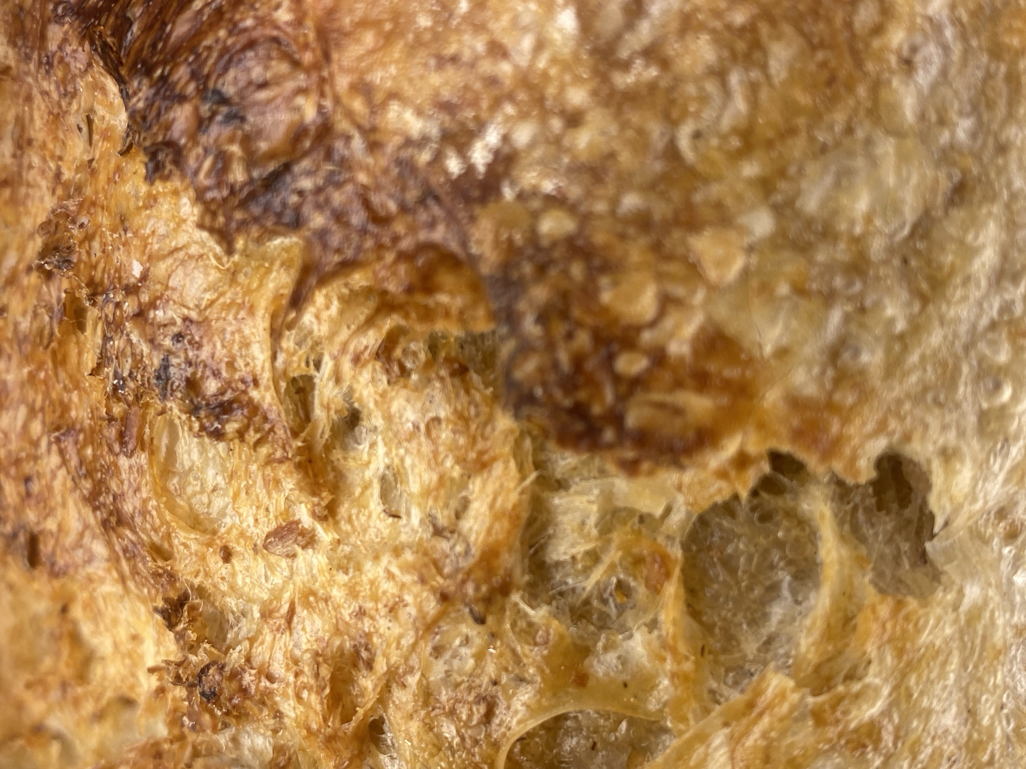 This is an extreme close-up, macro photograph of the crust of a loaf of bread. The subject is the texture and color of the bread's surface. The crust displays a range of warm, golden-brown hues, with darker, almost black, caramelized areas, particularly towards the upper left. The texture is uneven and craggy, with visible air pockets and a rough, porous surface. Some darker specks, possibly seeds or burnt bits of flour, are embedded within the crust. The lighting appears to be bright and focused, highlighting the intricate details of the bread's surface. The shallow depth of field blurs parts of the background, drawing attention to the foreground texture. There is no discernible scene, setting, or time of day visible, as the focus is entirely on the micro-details of the bread. No text is present in the image. The context of Warsaw, Poland, does not offer any specific visual cues within this abstract close-up of food.