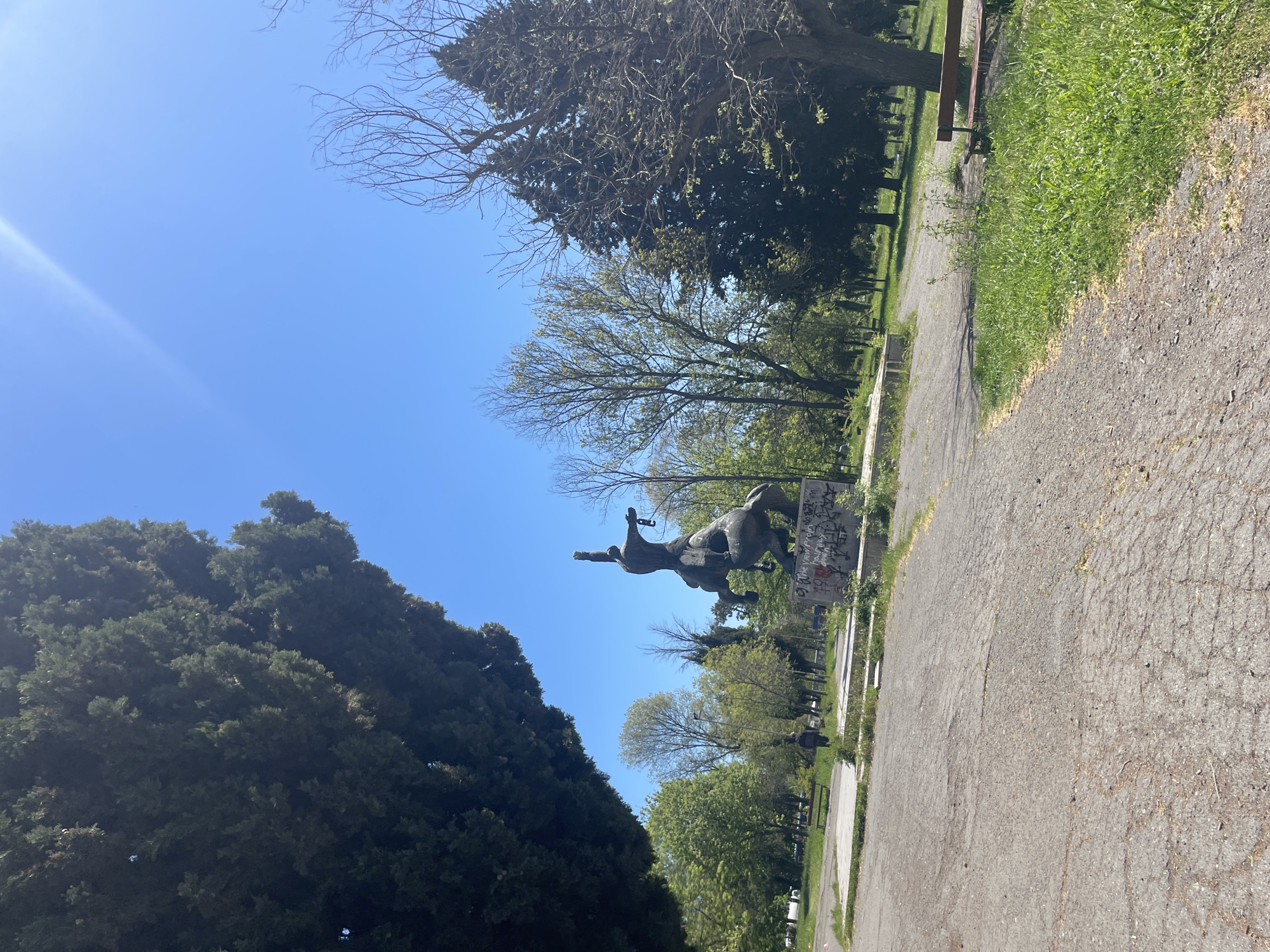 The image shows a statue of a man on horseback in a park in Burgas, Bulgaria. The statue is dark in color and appears to be made of metal. It is mounted on a rectangular base that is covered in graffiti. The man on the horse has his arms raised. The statue is located on an asphalt pathway in a park. Trees are present on either side of the pathway, some of which appear quite old. The sky is blue and clear. There is a bench visible further down the path. The location is possibly Park "Slaveykov" in Burgas.