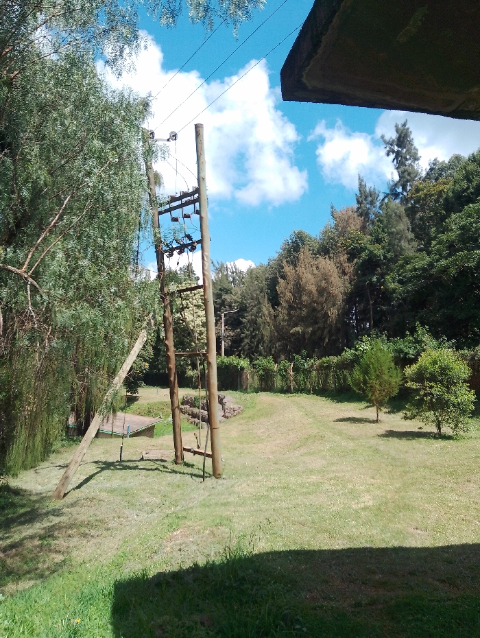 The image displays a serene outdoor landscape in Gitaru, Kenya, under a bright blue sky adorned with scattered white cumulus clouds. The foreground is dominated by a sunlit grassy area, with a large, dark shadow cast across its lower portion, indicative of an overhead structure or building.
Central to the mid-ground are two robust wooden utility poles, equipped with cross-arms, electrical insulators, and power lines extending across the upper frame. Adjacent to these, a third wooden pole lies at an angle, resting against the ground. Behind these poles, a small, low-roofed structure, possibly a shed, is partially visible. Further back, a low stone wall or rock formation adds texture to the landscape.
The scene is abundant with diverse flora. Tall, leafy trees with light green foliage frame the left side, while the background is filled with a dense canopy of various trees, ranging from dark green evergreens to those with brownish leaves, suggesting a forest edge. Within the open grassy expanse, two smaller, distinct trees—one conifer-like and another bushy specimen—stand isolated.
The photograph captures a sunny day, likely morning or afternoon, given the clear sky and prominent shadows. There are no people visible, and no specific activity or event is taking place, presenting a peaceful, untroubled environment. In the upper right corner, the underside of a dark, angular overhang, possibly a building's roof edge or balcony, is partially visible. No text is discernible in the image.