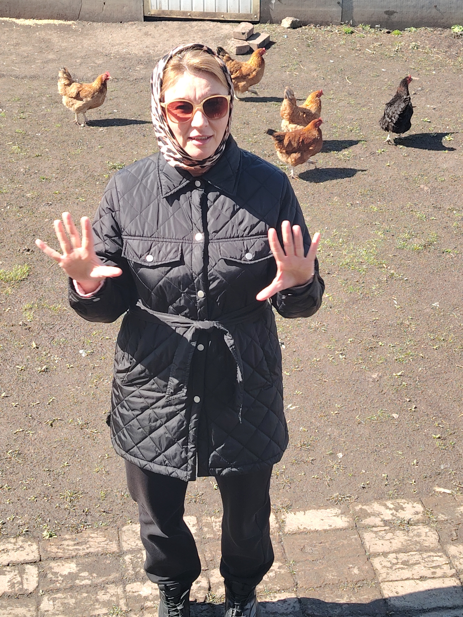 A high-angle, full-body shot features a woman standing outdoors in a rural setting in Сусады-Эбалак, Russia. She is centrally positioned, looking directly at the camera with an open-mouthed expression and wearing large, light-colored sunglasses. Her head is covered by a light-colored, leopard-print headscarf. She is dressed in a black quilted jacket with a tie belt, dark pants, and dark boots. Her hands are raised slightly, palms facing forward, in a gesture that could be conversational, explanatory, or a gentle stopping motion.
Behind her, several chickens are scattered across the dusty, earthy ground, which has patches of sparse green grass. Most chickens are reddish-brown, while one distinct black chicken is visible on the right. In the upper background, part of a simple building or fence structure is visible. The immediate foreground shows a section of old, dirty paving stones.
The scene is brightly lit by natural sunlight, indicated by strong shadows cast by the woman and the chickens, suggesting it is mid-day or early afternoon with clear weather. The overall impression is a candid, lively moment from a farm or rural homestead. There is no visible text in the image.