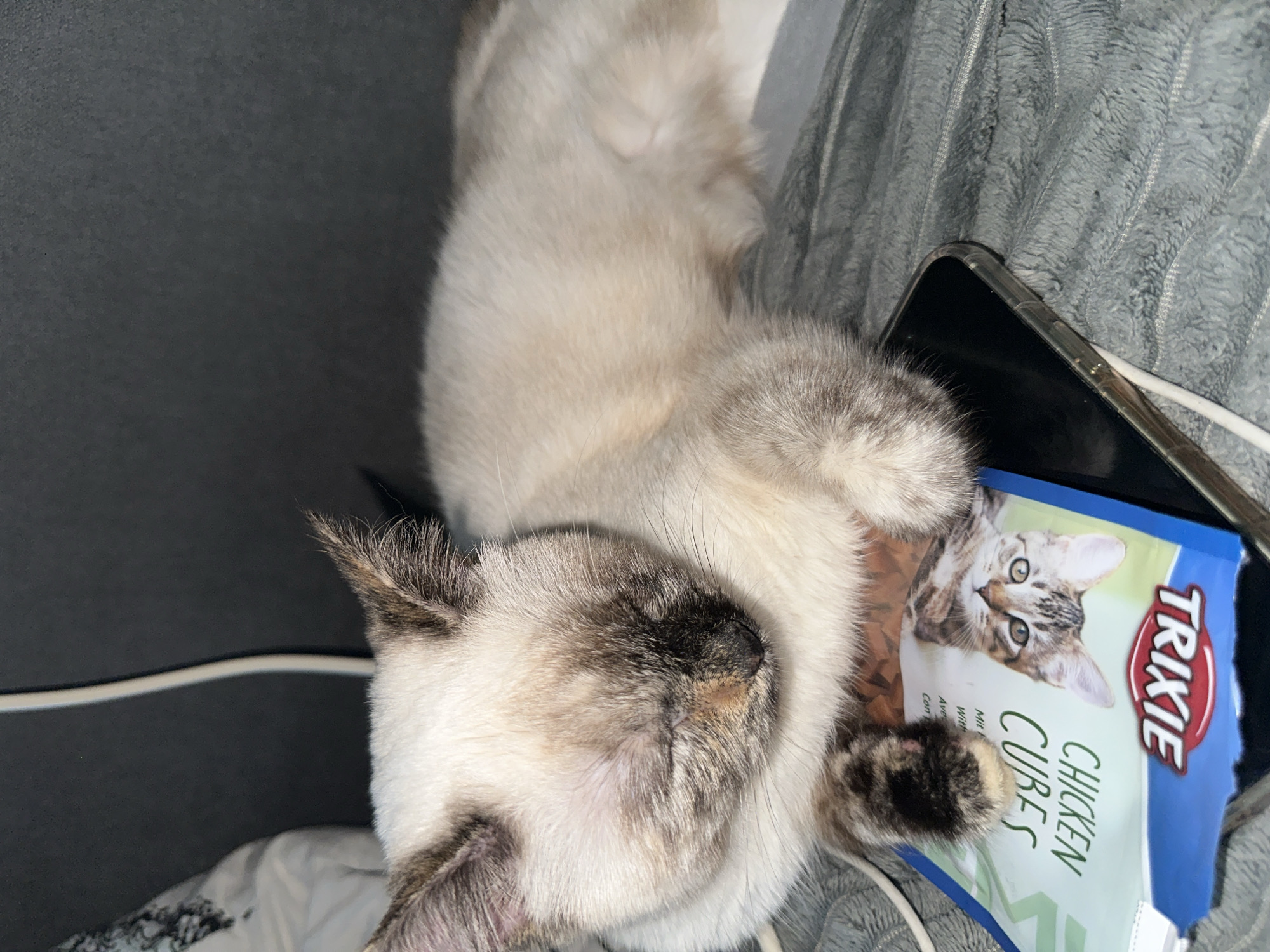 A light-colored cat with darker markings on its face and ears is sleeping on a gray, textured surface. The cat is lying on top of a phone and a package of "TRIXIE CHICKEN CUBES." A white cable is visible near the cat and the phone. The background is dark and appears to be a wall or furniture. The scene is indoors, in an unknown urban location.