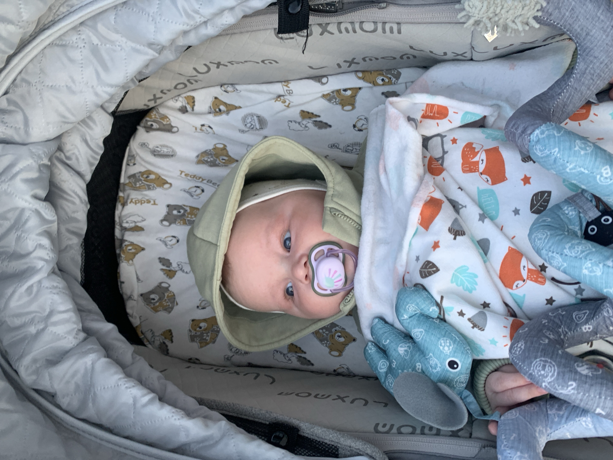 A baby with blue eyes and a pink pacifier in its mouth is lying in a stroller. The baby is wearing a green hooded jacket. The stroller is lined with a white blanket featuring a pattern of teddy bears. Beside the baby is a blue stuffed animal. The stroller is outdoors, with a hint of natural light. The location of Stavropol, Russia is not evident from the image.