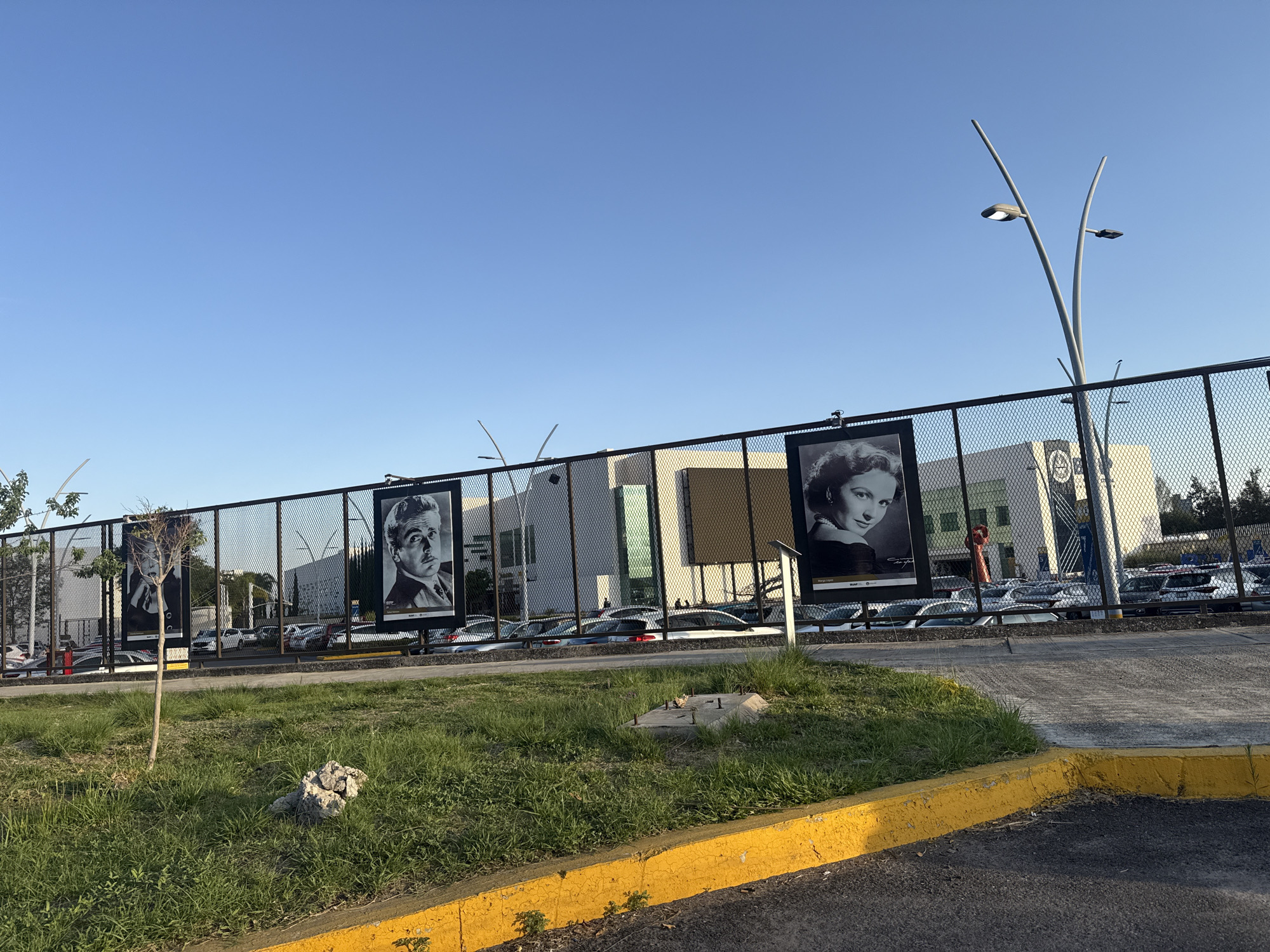 This outdoor daytime scene in Puebla, Mexico, captures a section of a chain-link fence adorned with four large black-and-white portrait posters, likely depicting classic film stars. The sky is clear and bright blue, suggesting fair weather.
In the foreground, a grassy median strip features a small, leafless tree sapling and a cluster of light-colored rocks. This strip is bordered by a weathered yellow-painted concrete curb, beyond which an asphalt surface extends out of view to the lower right.
The chain-link fence stretches across the mid-ground, providing the structure for the portrait banners. From left to right, the posters show: a woman, a man with a mustache, a woman wearing pearls identified by the visible text "MARGA LÓPEZ" beneath her image, and another man. Below several of the portraits, the acronym "GUAP" is also discernible.
Behind the fence, a modern, multi-storied building with white and dark paneling is visible, partially obscured by a busy parking lot filled with numerous cars. To the far right, two striking streetlights with unique, bifurcated, upward-curving poles and contemporary light fixtures stand tall against the blue sky. The overall lighting indicates it is either late morning or early afternoon.