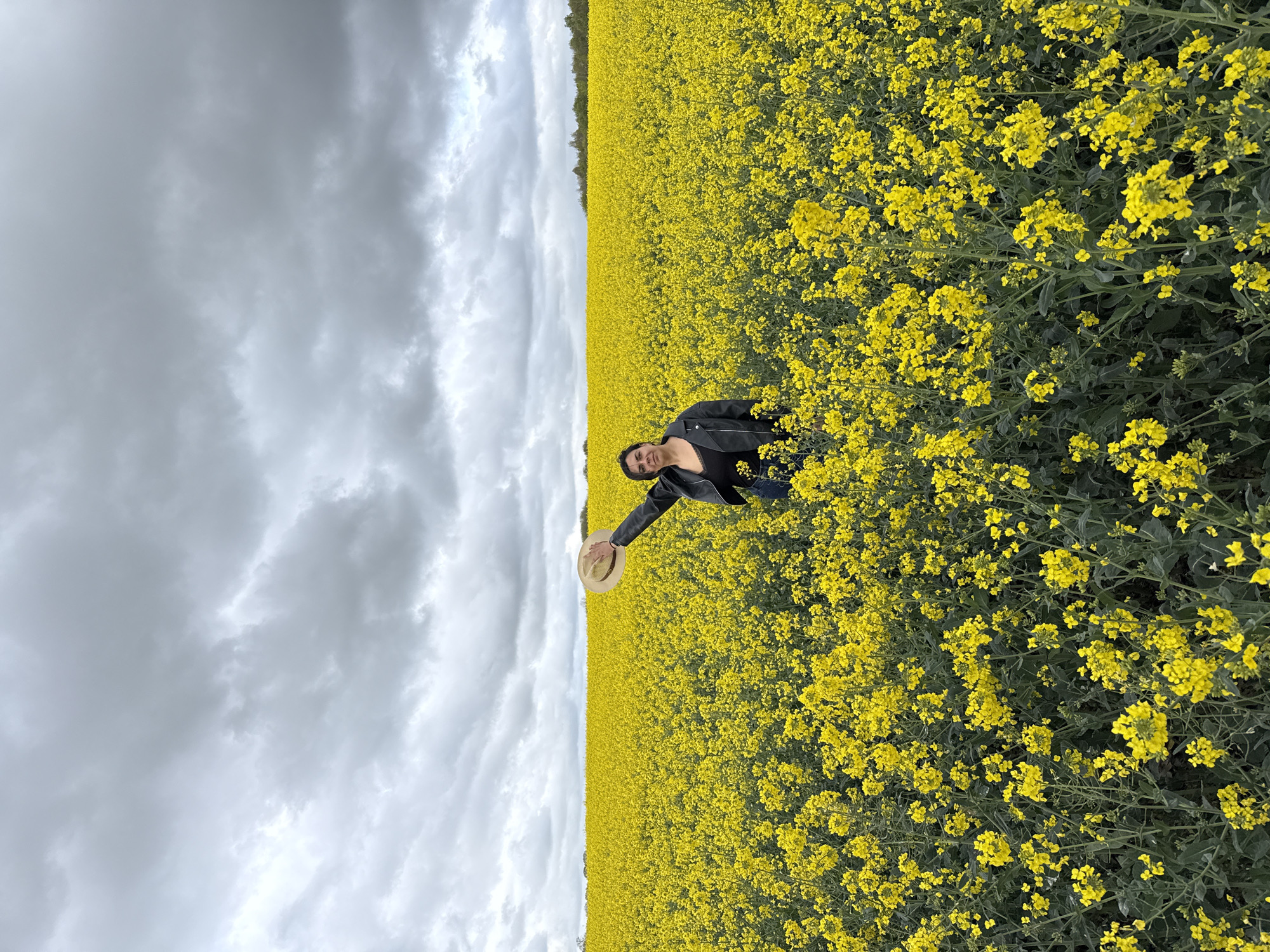 This image captures a vibrant yellow rapeseed field under an expansive, cloudy sky. The field, densely packed with bright yellow flowers, stretches from the foreground towards a distant line of dark green trees that mark the horizon.
A young woman is positioned in the lower right section of the frame, kneeling or crouching amidst the yellow blossoms. She is dressed in a dark jacket, possibly leather, over a dark top, and holds a light-colored, wide-brimmed hat in her outstretched right hand. Her dark hair is visible, and she looks towards the camera with a subtle smile, conveying a sense of calm and enjoyment.
The sky is dominated by heavy, grey, and white clouds, suggesting an overcast day. This weather creates a diffused light across the scene, highlighting the brilliant yellow of the flowers against the more muted tones of the sky. The scene depicts a peaceful moment within a rural, agricultural landscape, consistent with locations like the Breckland District, United Kingdom, known for its extensive fields of crops. No visible text is present in the image. The overall impression is one of a person posing and appreciating the beauty of nature.
