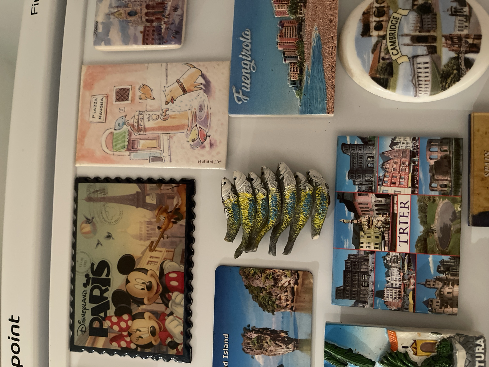The image shows a collection of souvenir magnets attached to a white refrigerator door, beginning with “point” written vertically on the left side of the door. The magnets include images from various locations, including: a cityscape labeled "Tiena," a sketch with the words "PIAZZA NAVONA," a Disney themed magnet with Mickey and Minnie Mouse and the word “PARIS,” a beach landscape labeled "Fuengirola," a scene from "CAMBRIDGE" and "TRIER," and a landscape labeled "Island." There is also a cluster of fish-shaped magnets. The text "SPAIN" is visible on one magnet. Another magnet has "TURA" written on it. Finally, “Fir” is visible in the upper-left corner of the image. The location is a generic domestic environment. The image does not contain any indication that it is in Maidstone, UK.
