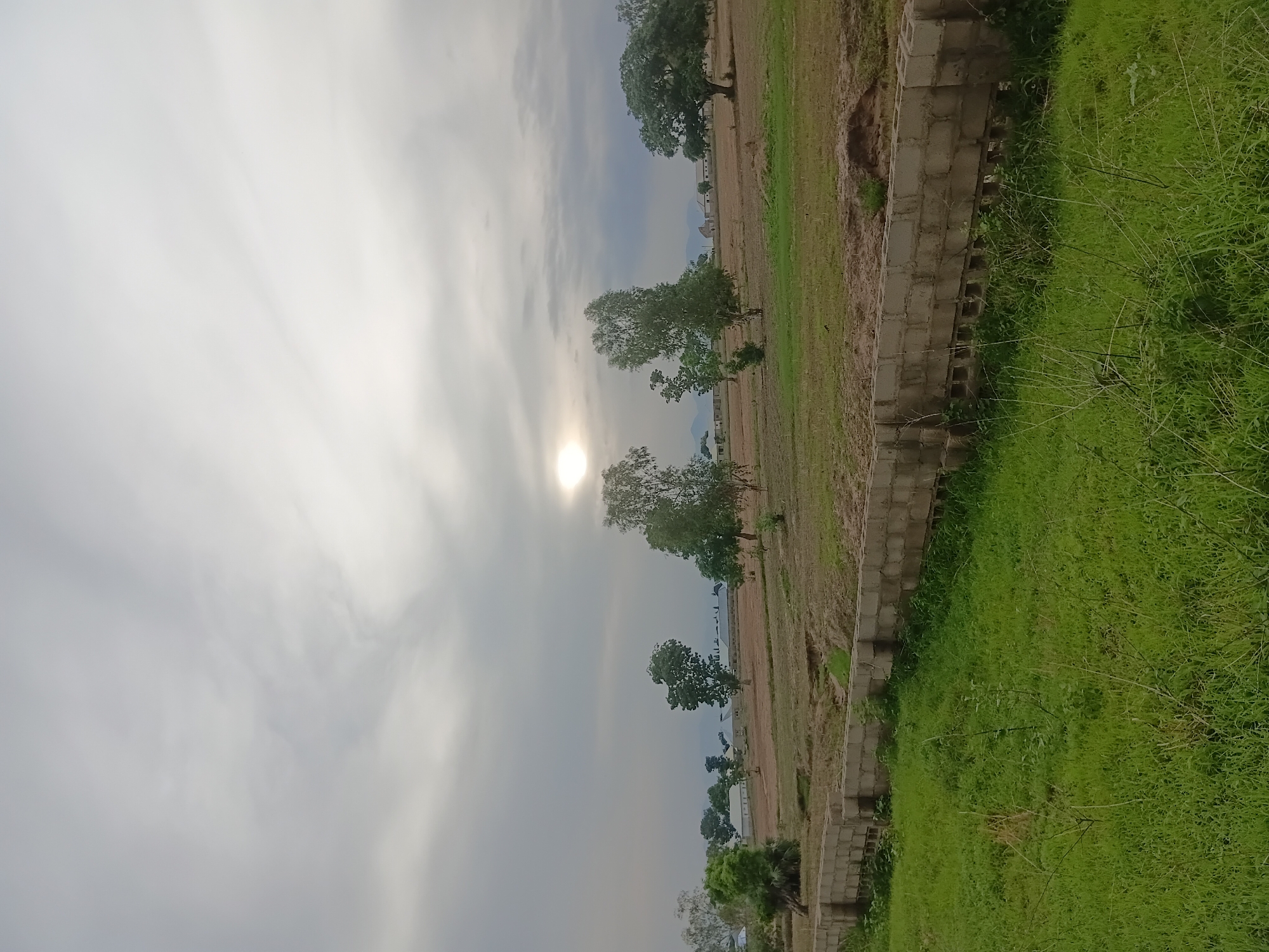The image depicts an outdoor scene, likely in Jalingo, Nigeria, under an overcast sky with the sun partially visible through the clouds, creating a diffused light. In the foreground, a strip of vibrant green grass is bordered by a low, concrete block wall that runs horizontally across the frame. Beyond this wall, the terrain transitions to a dry, reddish-brown field with scattered patches of green.
Several trees are distributed across the landscape. To the left and center, there are medium-sized trees with green foliage. To the right, a larger, more mature tree with a dense canopy stands prominently. In the middle ground, several buildings with light-colored roofs are visible, suggesting a settlement or village. The background shows rolling hills or mountains under the hazy sky. The overall impression is of a rural or semi-rural environment. There are no people or animals visible in the image.
