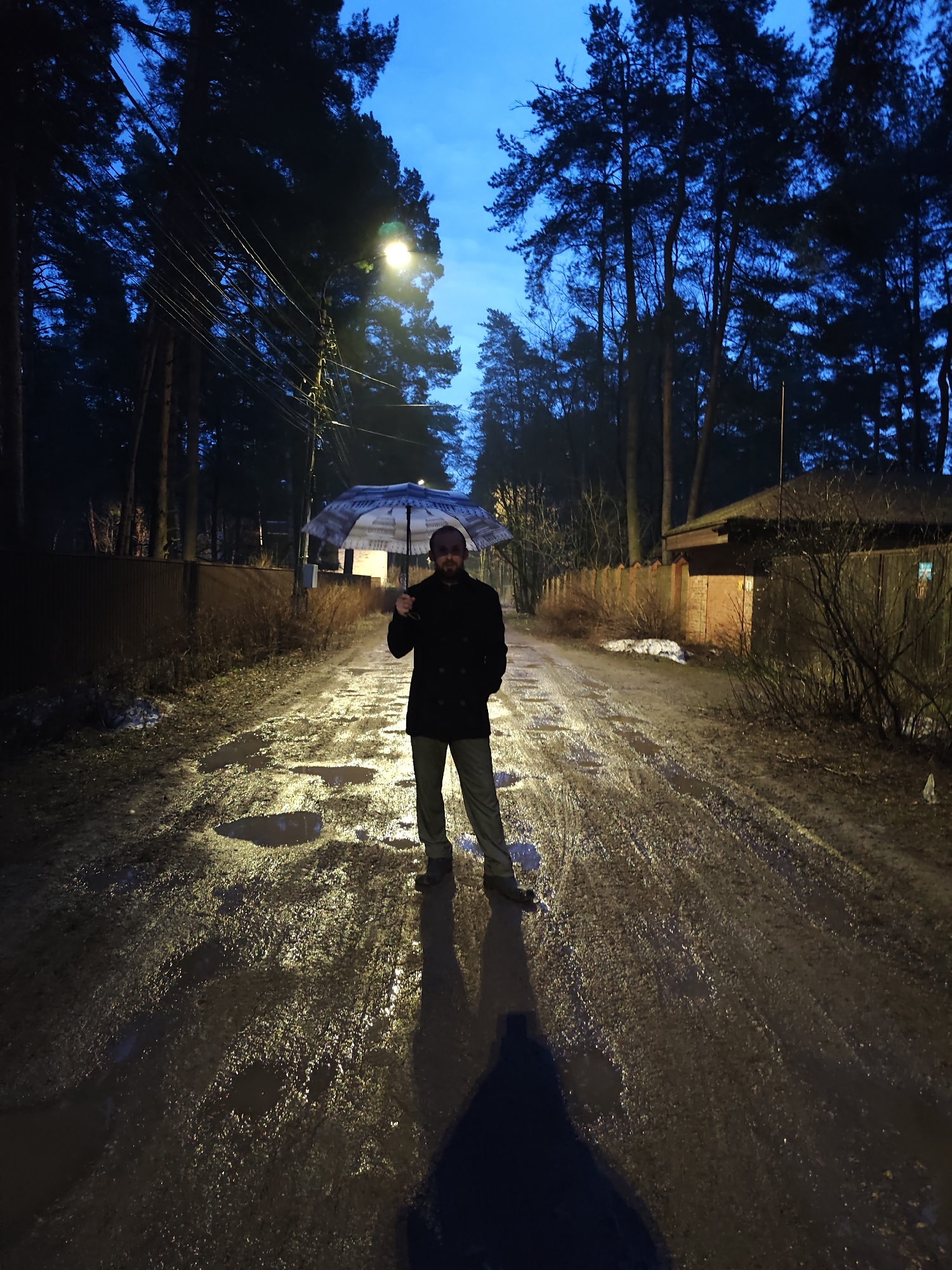 A man stands in the center of a muddy road under a street lamp, holding an umbrella. The road is pockmarked with puddles reflecting the light. On either side of the road are fences, trees and bushes. The sky is blue. The location of the image cannot be confirmed.