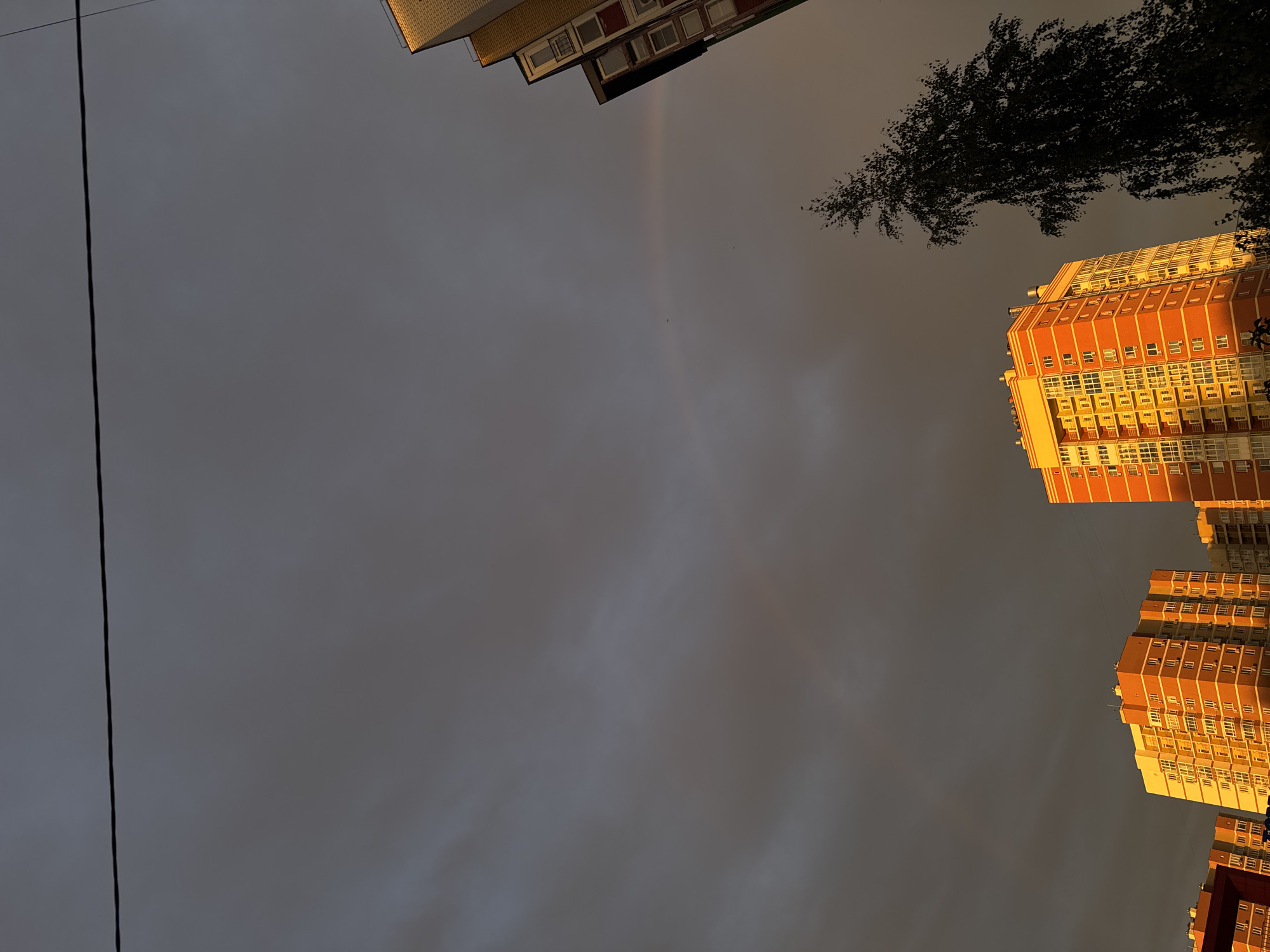The image captures an upward-facing view of a cloudy sky over a cityscape. Dominating the lower half of the frame are the upper sections of several multi-story residential buildings, their facades illuminated by the warm, golden light of a setting sun. The buildings are a mix of orange and yellow hues, with numerous windows visible. In the foreground, a tall, dark silhouette of a tree with dense foliage stands to the right, obscuring parts of the sky and a portion of a building. A thin, black power line stretches horizontally across the upper portion of the frame, against a backdrop of a dark, overcast sky with subtle streaks of lighter clouds. A faint rainbow is visible in the sky, towards the right side of the frame. No people or specific actions are depicted. The scene suggests an urban environment in Nizhny Novgorod, Russia, during either sunrise or sunset.