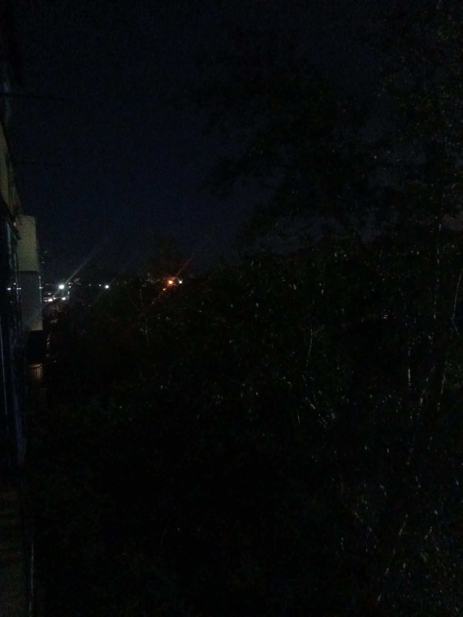 The image depicts a dark outdoor scene at night, likely from an elevated viewpoint such as a balcony or window. A dimly lit portion of a building with a vertical structure is visible on the left edge. In the background, distant city lights are scattered across the horizon, with some appearing as streaks due to camera movement or light sources. A cluster of trees or dense foliage occupies the majority of the middle and right portions of the frame, appearing as dark, indistinct shapes. The overall impression is one of a nocturnal urban or suburban landscape with minimal illumination.