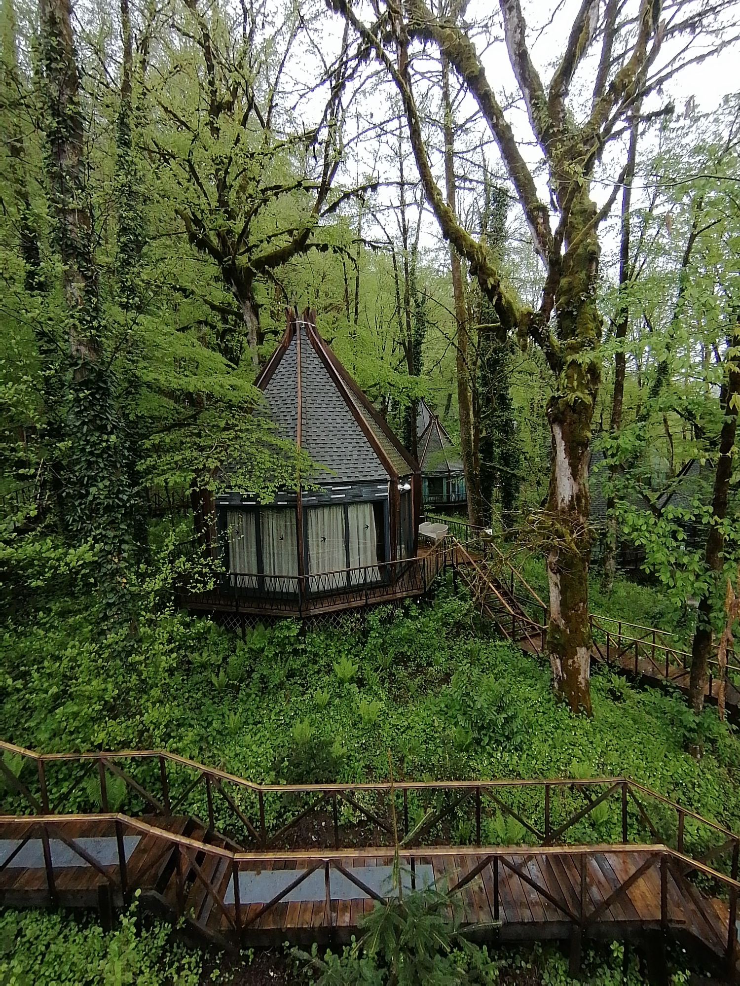 The image shows a forest scene in what is likely the area of Medoveevka, Russia. Two small, modern, pointed-roof cabins are nestled among the dense foliage of a forest. A series of wooden walkways and steps, with matching wooden railings, traverse the green undergrowth, connecting the cabins and providing access through the hilly terrain. The cabins appear to be elevated above the forest floor on platforms, with a wooden deck and metal railing surrounding them. Tall, moss-covered trees tower overhead. The overall impression is that of a secluded, eco-friendly retreat integrated into the natural environment. The sky is overcast, suggesting a damp or humid climate.