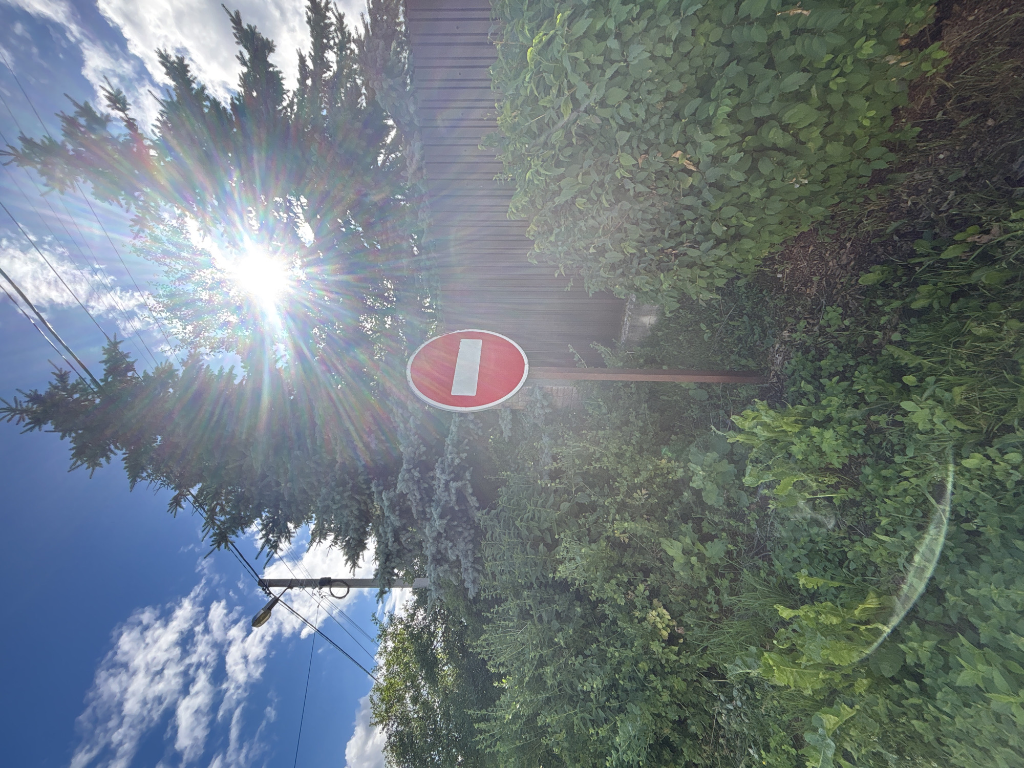 The image depicts a street scene in Ostrov, Russia, under a bright, sunny sky. The sun is prominently featured, creating a starburst effect with lens flare and rainbow-like reflections, indicating it is likely midday. Scattered white clouds add texture to the deep blue sky.
The foreground is dominated by lush green foliage and trees, suggesting a natural or semi-urban setting. Among the greenery, a no-entry sign is clearly visible. The sign is circular with a red border and a white rectangular bar in the center, a common traffic symbol indicating a prohibition. The sign is mounted on a reddish-brown metal pole.
To the left of the sign, a conifer tree with blue-green needles stands tall, its branches reaching towards the sky. A power line pole with wires and a street lamp is also visible, further placing the scene in a populated area. Behind the sign and trees, a dark, slatted fence or wall runs horizontally, adding a man-made element to the predominantly natural landscape.
The overall impression is one of a bright, possibly warm day in a Russian locale, with a clear indication of restricted access due to the traffic sign. The strong sunlight and vibrant greenery create a lively and perhaps slightly overwhelming visual atmosphere.