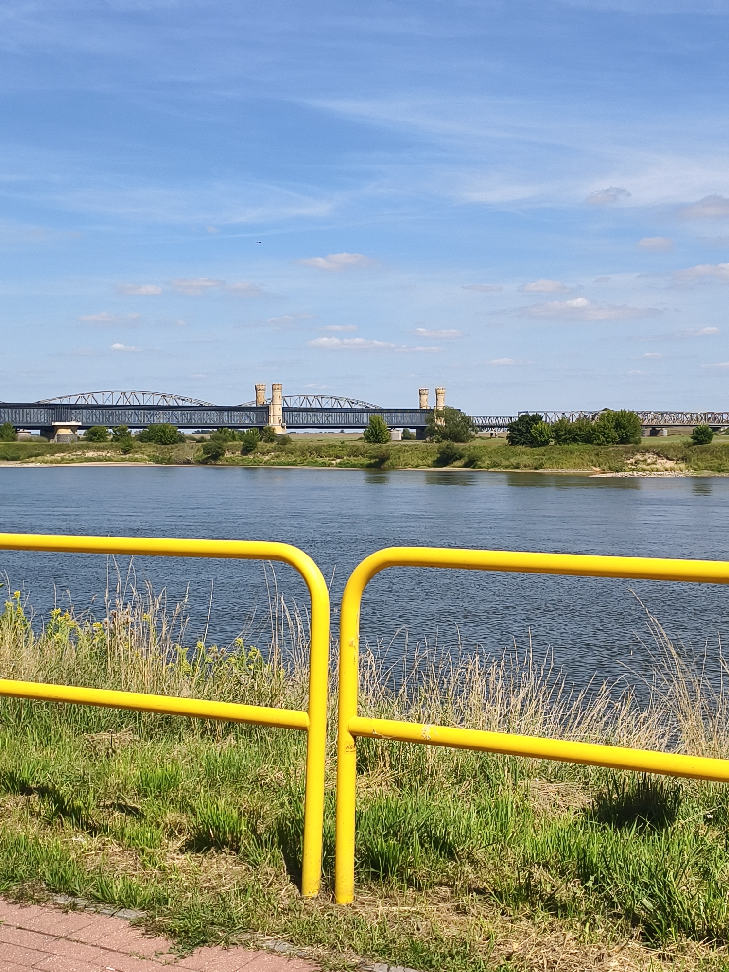 The image shows the tczew bridge over the Vistula river in Tczew, Poland. A yellow metal railing is in the foreground, with green grass and dry reeds behind it. The Vistula river is in the middle ground, with a bridge and trees on the far bank. The sky is blue with some white clouds. The bridge is a truss bridge with two distinctive towers in the center.