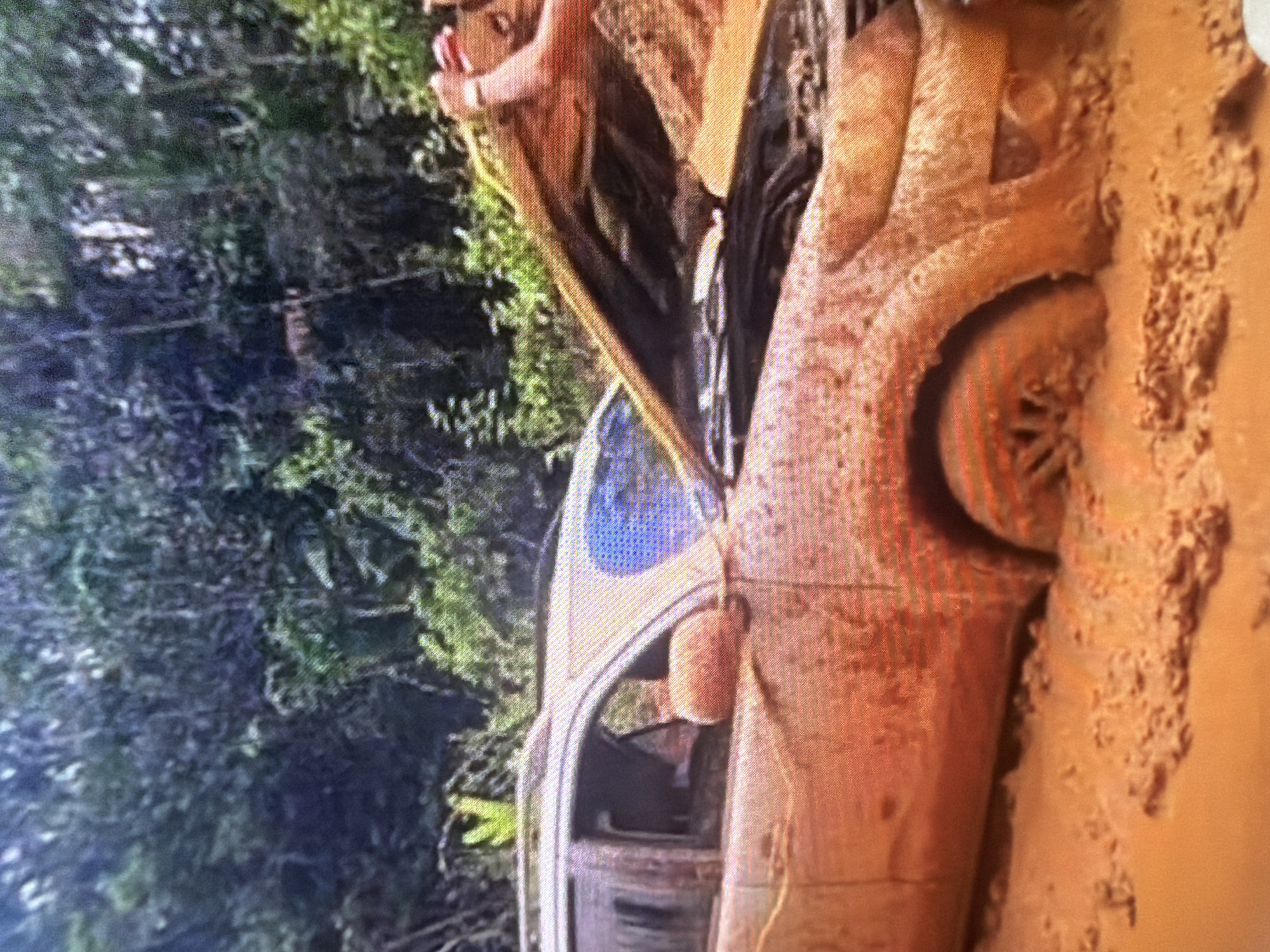 An orange SUV is stuck in deep mud in a wooded area. The hood of the vehicle is open, revealing the engine. The tires are submerged in mud, and mud splatters cover the entire exterior of the car. The environment appears to be a forest with dense vegetation and trees in the background. A person's arm is visible reaching into the engine bay, possibly attempting to fix the vehicle. The scene suggests a challenging off-road situation or an accident.