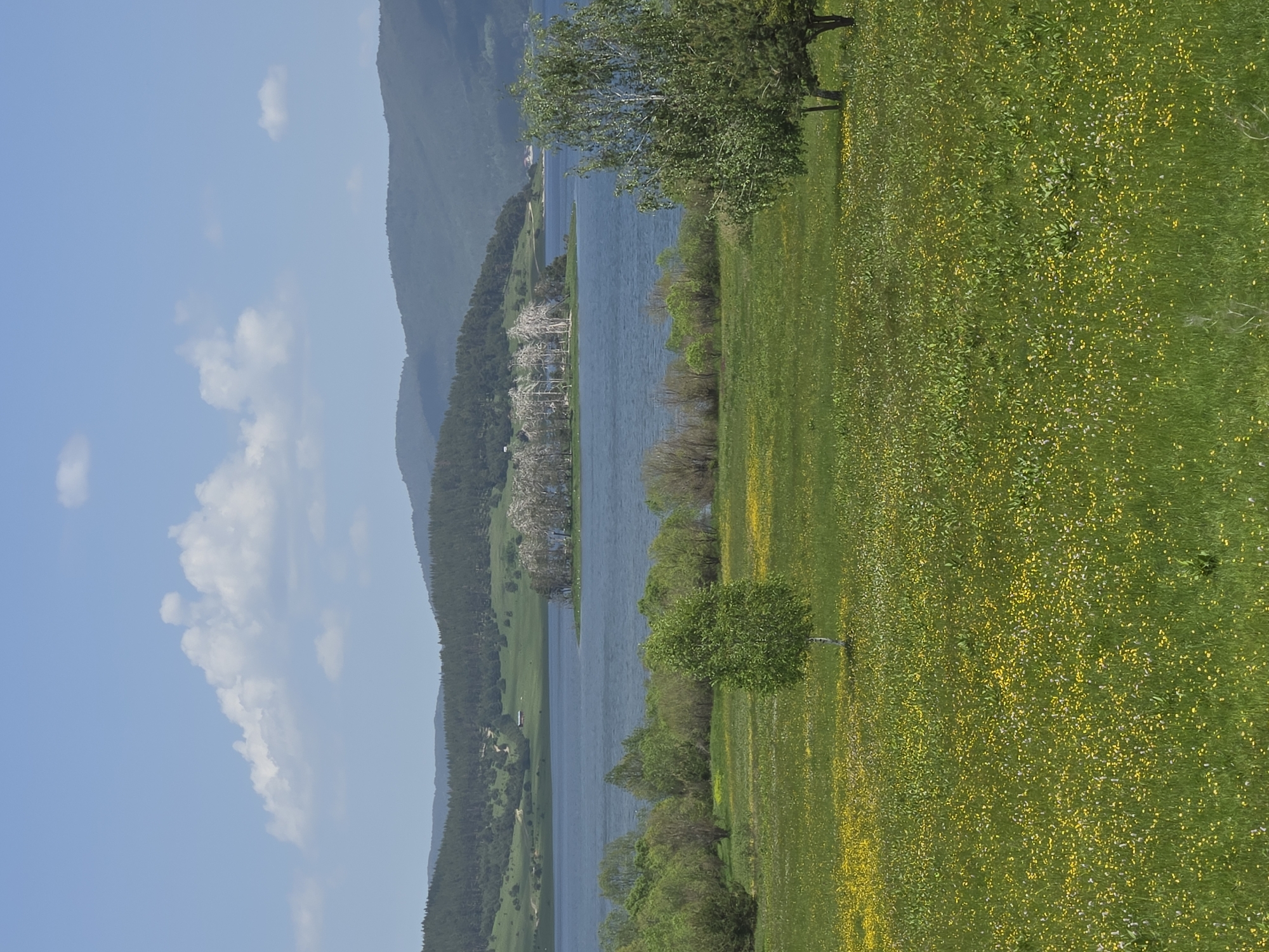 The image shows a landscape with a lake, mountains, and a grassy field. The sky is blue with scattered white clouds. A line of mountains covered in trees is visible on the left side of the lake. On the right is a green field dotted with yellow wildflowers. Several trees are situated along the edge of the field near the lake. The exact location within the city of Unknown, Unknown cannot be determined from the provided image.